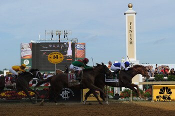 BALTIMORE, MD - MAY 21: Jockey Jesus Castanon guides Shackleford #5 to victory over Animal Kingdom and jocky John Velazquez #11  and Astrology with jockey Mike Smith #1 to win the 136th running of the Preakness Stakes at Pimlico Race Course on May 21, 201