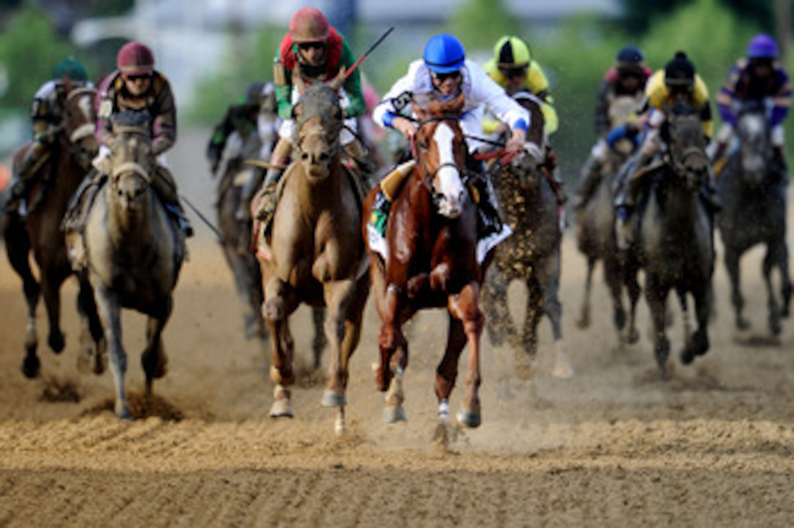 BALTIMORE - MAY 21: Jockey Jesus Castanon riding 'Shackleford' crosses the finish line in first place in the 136th running of the Preakness Stakes at Pimlico Race Course on May 21, 2011 in Baltimore, Maryland. (Photo by Patrick Smith/Getty Images)