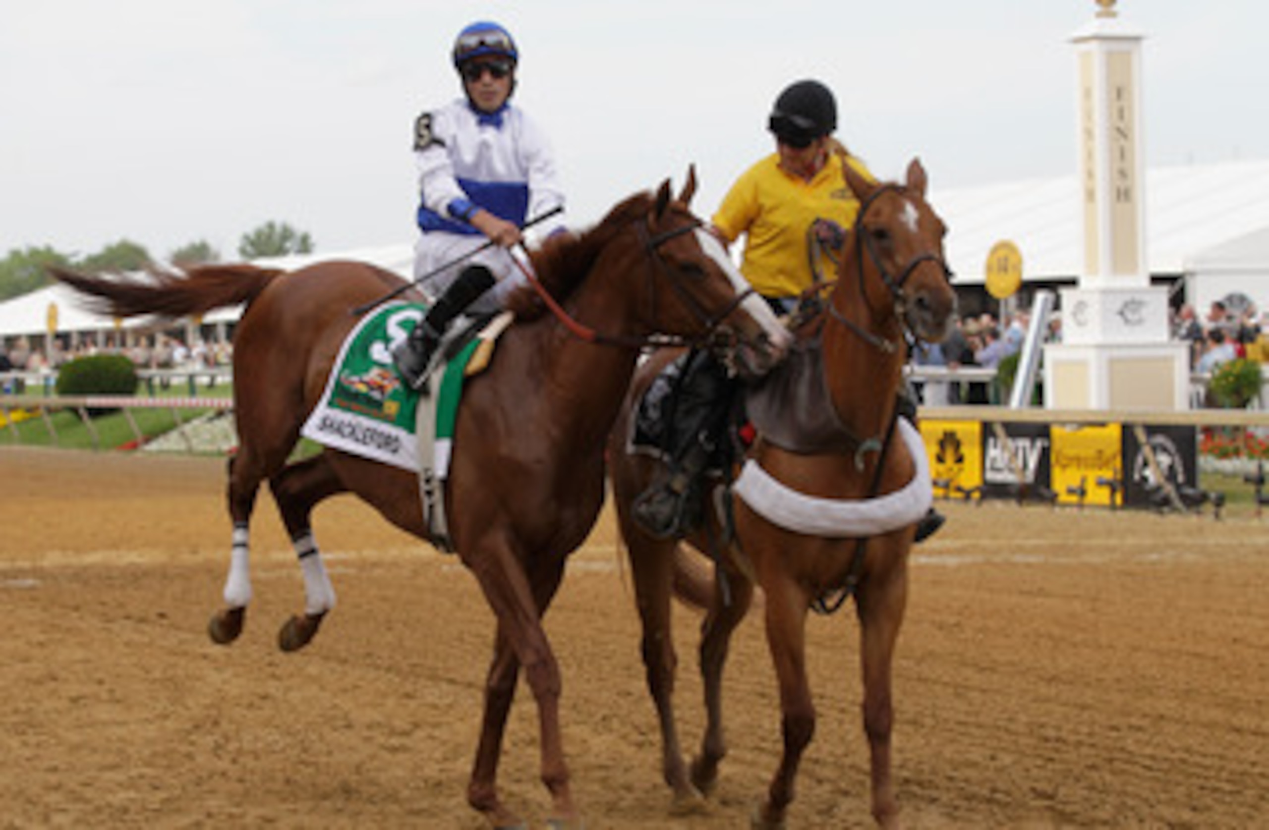 BALTIMORE, MD - MAY 21:  Shackleford #5 with jockey Jesus Castanon aboard kicks during the post parade before the start of the Preakness Stakes at Pimlico Race Course on May 21, 2011 in Baltimore, Maryland.  (Photo by Rob Carr/Getty Images)