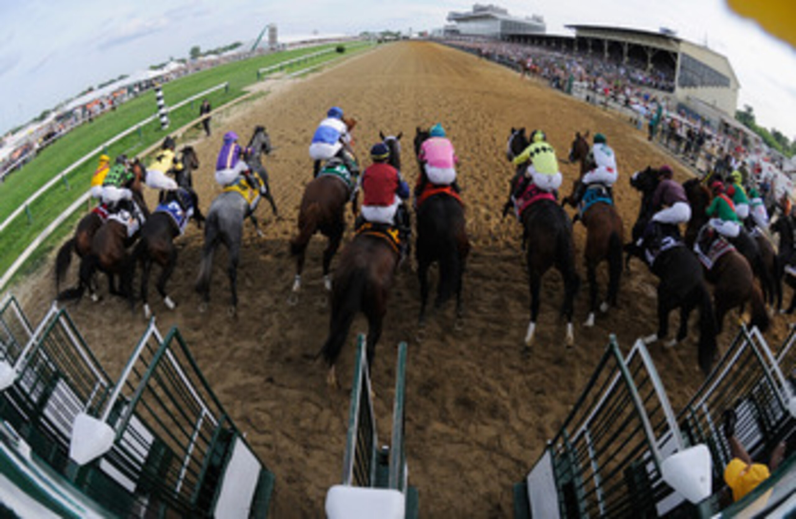 BALTIMORE, MD - MAY 21:  The field breaks from the gate during the 136th running of the Preakness Stakes at Pimlico Race Course on May 21, 2011 in Baltimore, Maryland.  (Photo by Rob Carr/Getty Images)