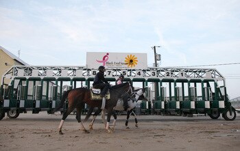 BALTIMORE, MD - MAY 20: Preakness entrant Dance City is lead back to the barn after going over the track at Pimlico Race Course on May 20, 2011 in Baltimore, Maryland. The 136th running of the Preakness Stakes will take place on May 21.  (Photo by Rob Car