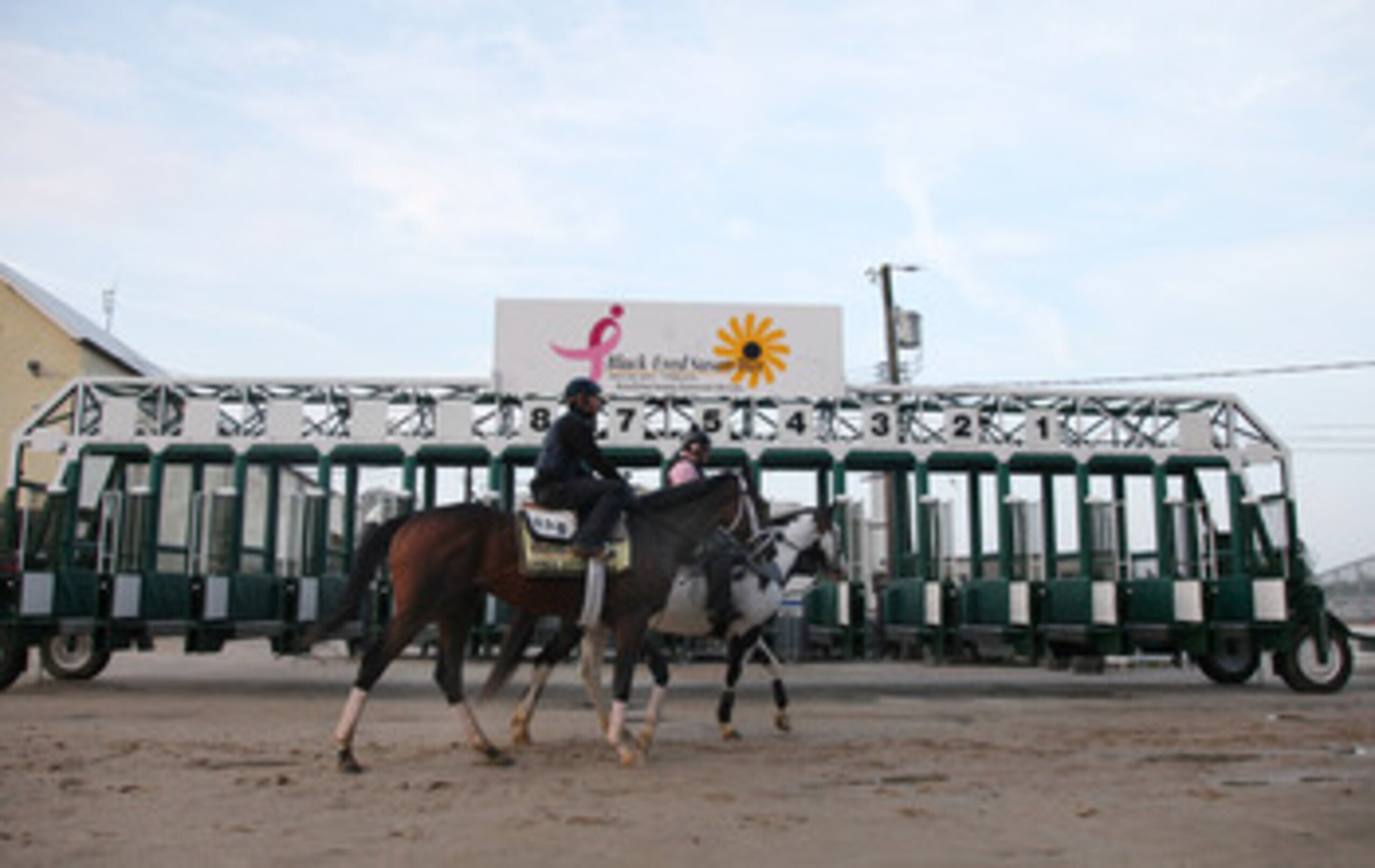 BALTIMORE, MD - MAY 20: Preakness entrant Dance City is lead back to the barn after going over the track at Pimlico Race Course on May 20, 2011 in Baltimore, Maryland. The 136th running of the Preakness Stakes will take place on May 21.  (Photo by Rob Car