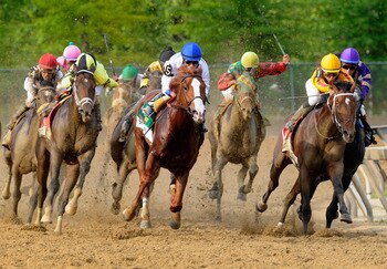 BALTIMORE, MD - MAY 21:  Jockey Jesus Castanon guides Shackleford #5 (C) out of the fourth turn to victory over Animal Kingdom and jocky John Velazquez #11 to win the 136th running of the Preakness Stakes at Pimlico Race Course on May 21, 2011 in Baltimor