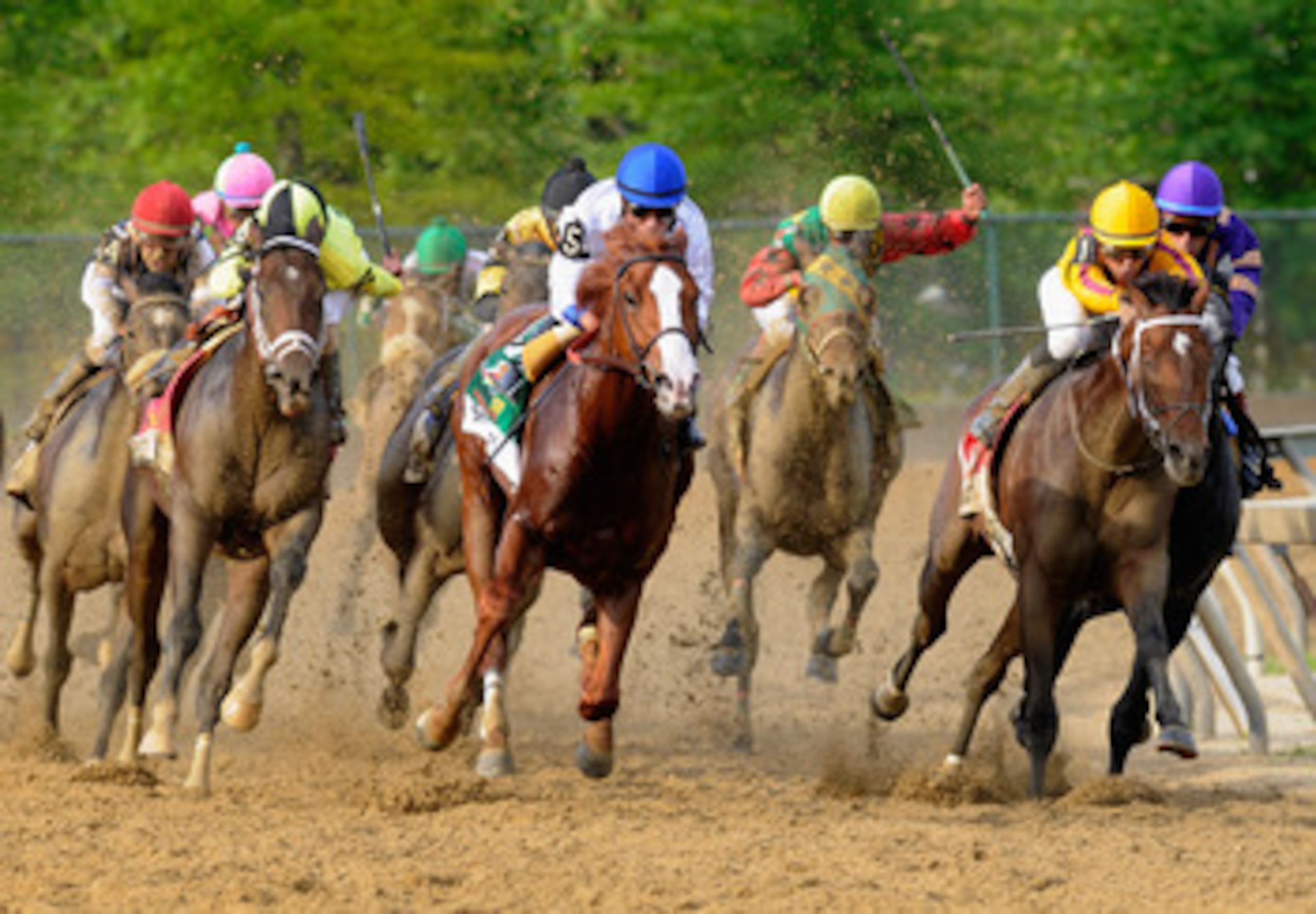 BALTIMORE, MD - MAY 21:  Jockey Jesus Castanon guides Shackleford #5 (C) out of the fourth turn to victory over Animal Kingdom and jocky John Velazquez #11 to win the 136th running of the Preakness Stakes at Pimlico Race Course on May 21, 2011 in Baltimor