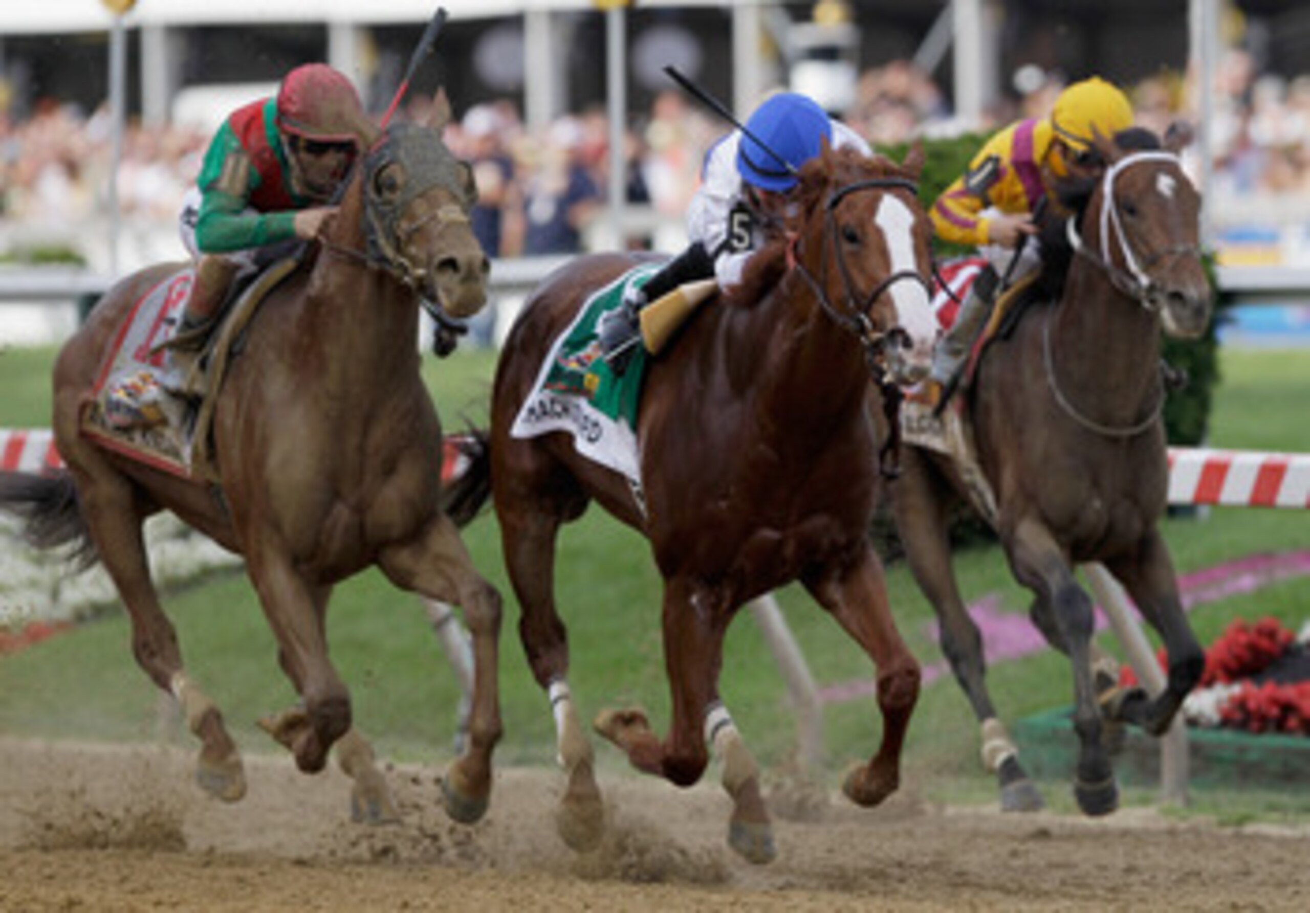 BALTIMORE, MD - MAY 21:  Jockey Jesus Castanon guides Shackleford #5 to victory over Animal Kingdom and jocky John Velazquez #11 (L) and Astrology with jockey Mike Smith #1 (R) to win the 136th running of the Preakness Stakes at Pimlico Race Course on May