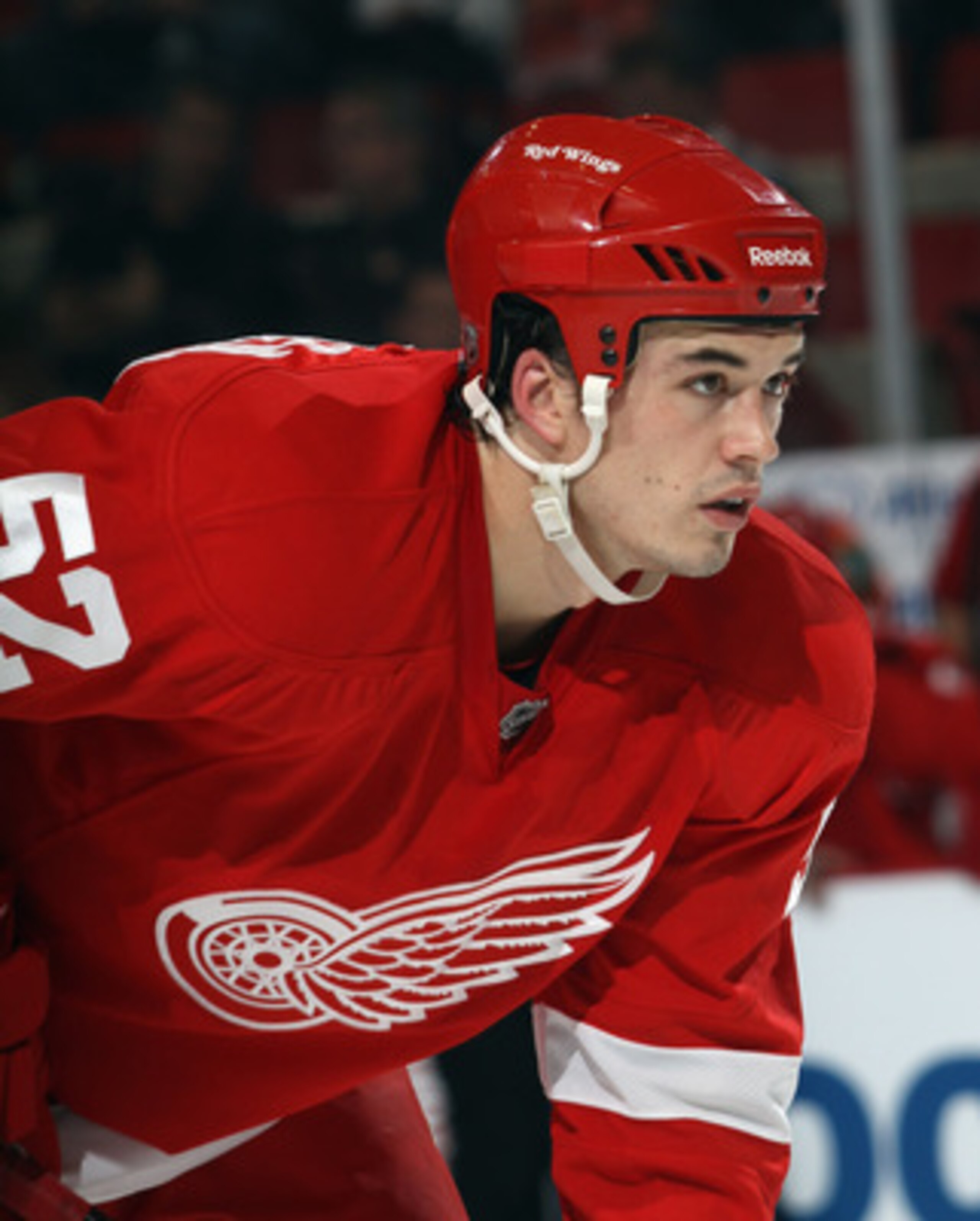 DETROIT, MI - DECEMBER 08:  Jonathan Ericsson #52 of the Detroit Red Wings skates against the Nashville Predators at the Joe Louis Arena on December 8, 2010 in Detroit, Michigan. The Predators defeated the Red Wings 3-2.  (Photo by Bruce Bennett/Getty Ima