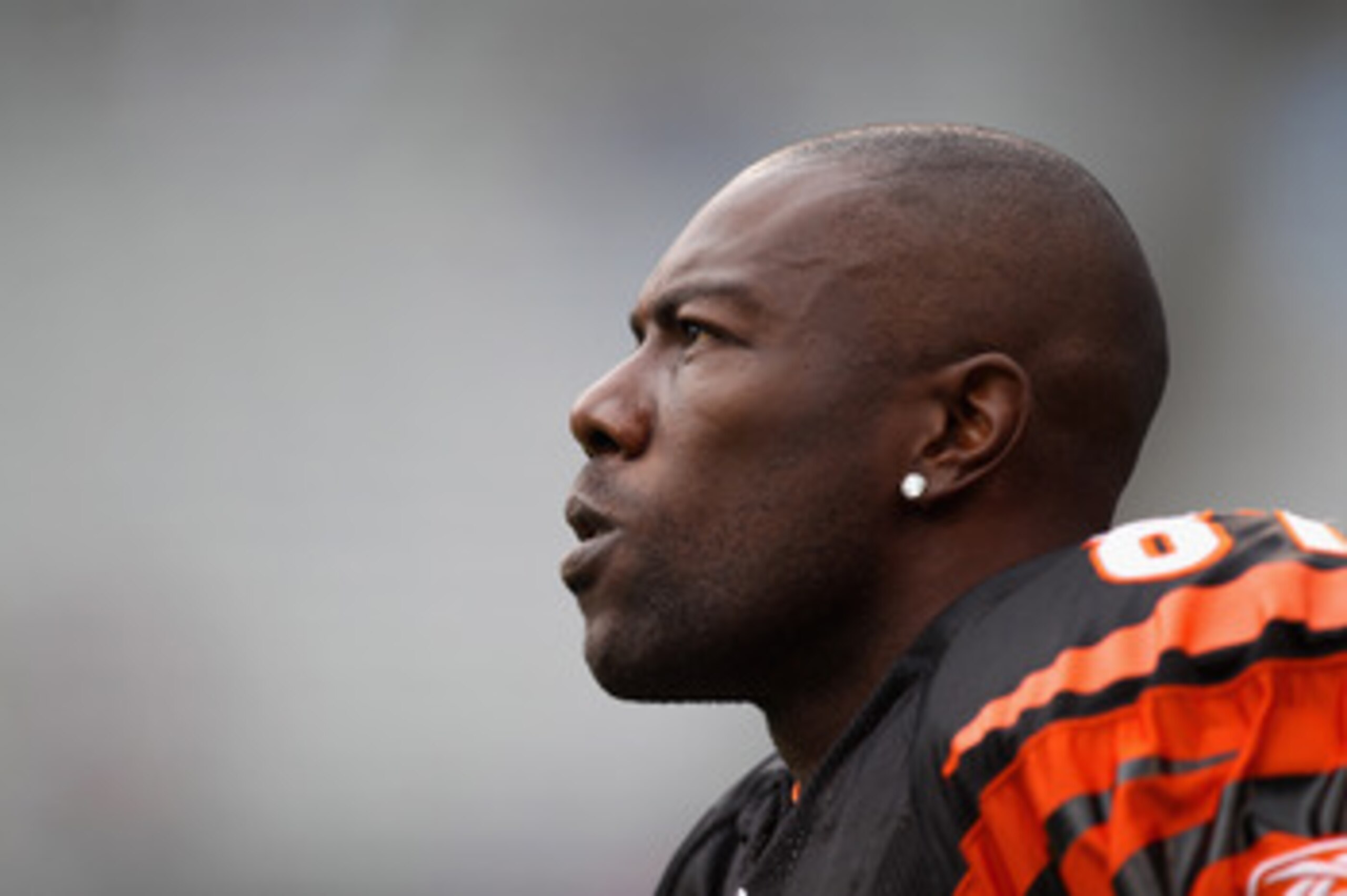 CHARLOTTE, NC - SEPTEMBER 26:  Terrell Owens #81 of the Cincinnati Bengals watches on before the start of their game against the Carolina Panthers at Bank of America Stadium on September 26, 2010 in Charlotte, North Carolina.  (Photo by Streeter Lecka/Get