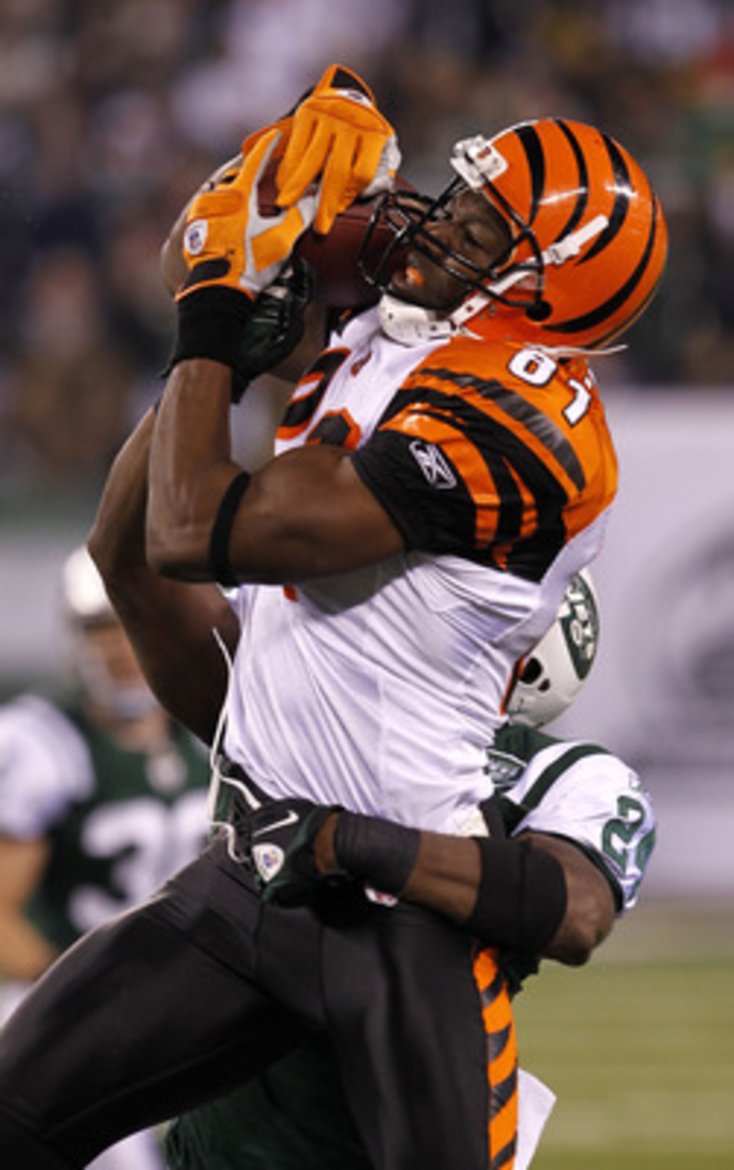 EAST RUTHERFORD, NJ - NOVEMBER 25: Terrell Owens #81 of the Cincinnati Bengals catches a pass under pressure from Darrell Revis #24 of the New York Jets at New Meadowlands Stadium on November 25, 2010 in East Rutherford, New Jersey. The Jets defeated the