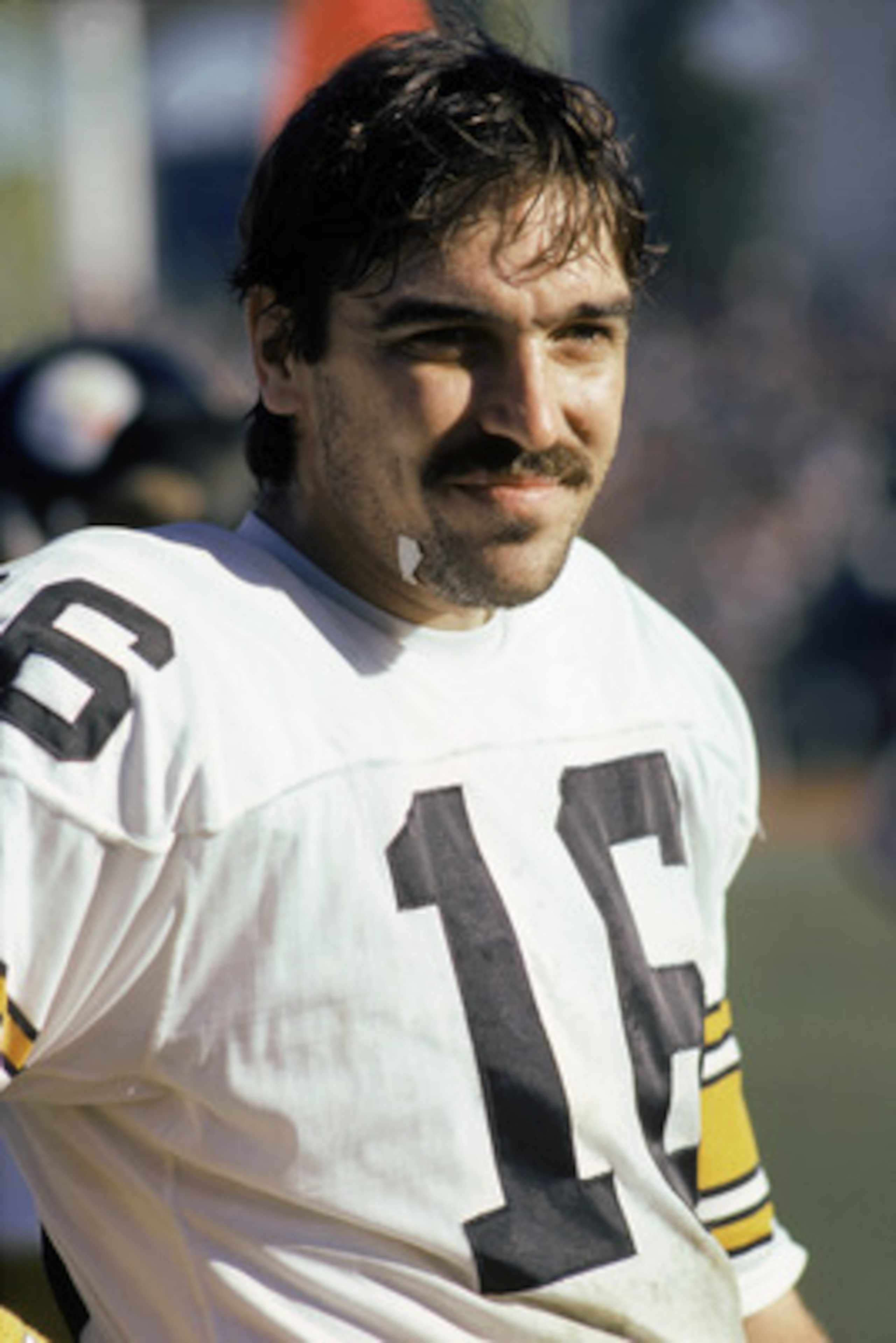UNDATED:  Quarterback Mark Malone #16 of the Pittsburgh Steelers stands on the sideline during a NFL game.  (Photo by Tony Duffy/Getty Images)