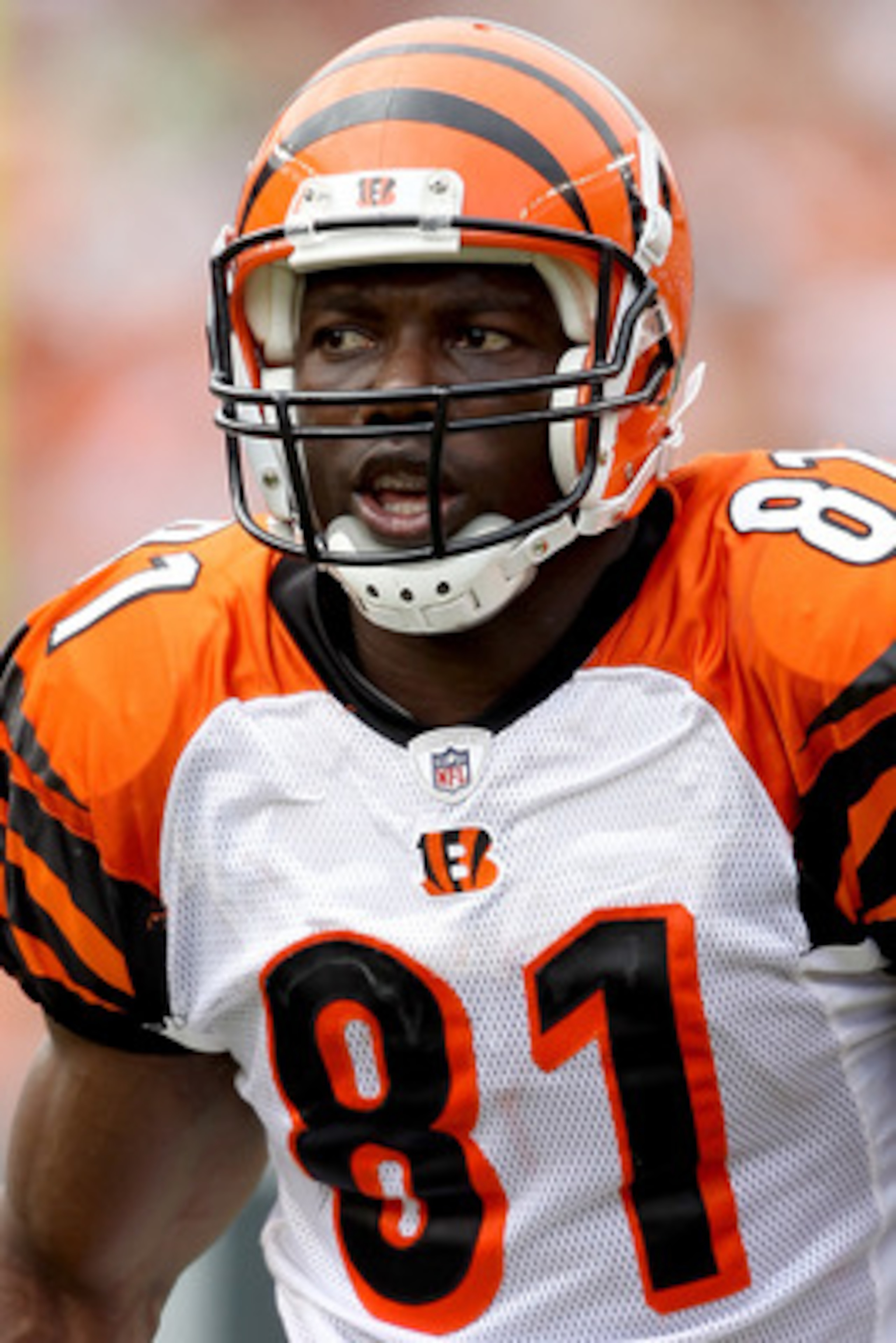 CINCINNATI - SEPTEMBER 19:  Terrell Owens #81 of the Cincinatti Bengals in action against the Baltimore Ravens at Paul Brown Stadium on September 19, 2010 in Cincinnati, Ohio.  (Photo by Matthew Stockman/Getty Images)