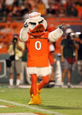 MIAMI GARDENS, FL - SEPTEMBER 17: Sebastian the Ibis gets the crowd into the game as the Miami Hurricanes take on the Georgia Tech Yellow Jackets at Land Shark Stadium on September 17, 2009 in Miami Gardens, Florida. Miami defeated Georgia Tech 33-17. ( MIAMI GARDENS, FL - SEPTEMBER 17: Sebastian the Ibis gets the crowd into the game as the Miami Hurricanes take on the Georgia Tech Yellow Jackets at Land Shark Stadium on September 17, 2009 in Miami Gardens, Florida. Miami defeated Georgia Tech 33-17. (