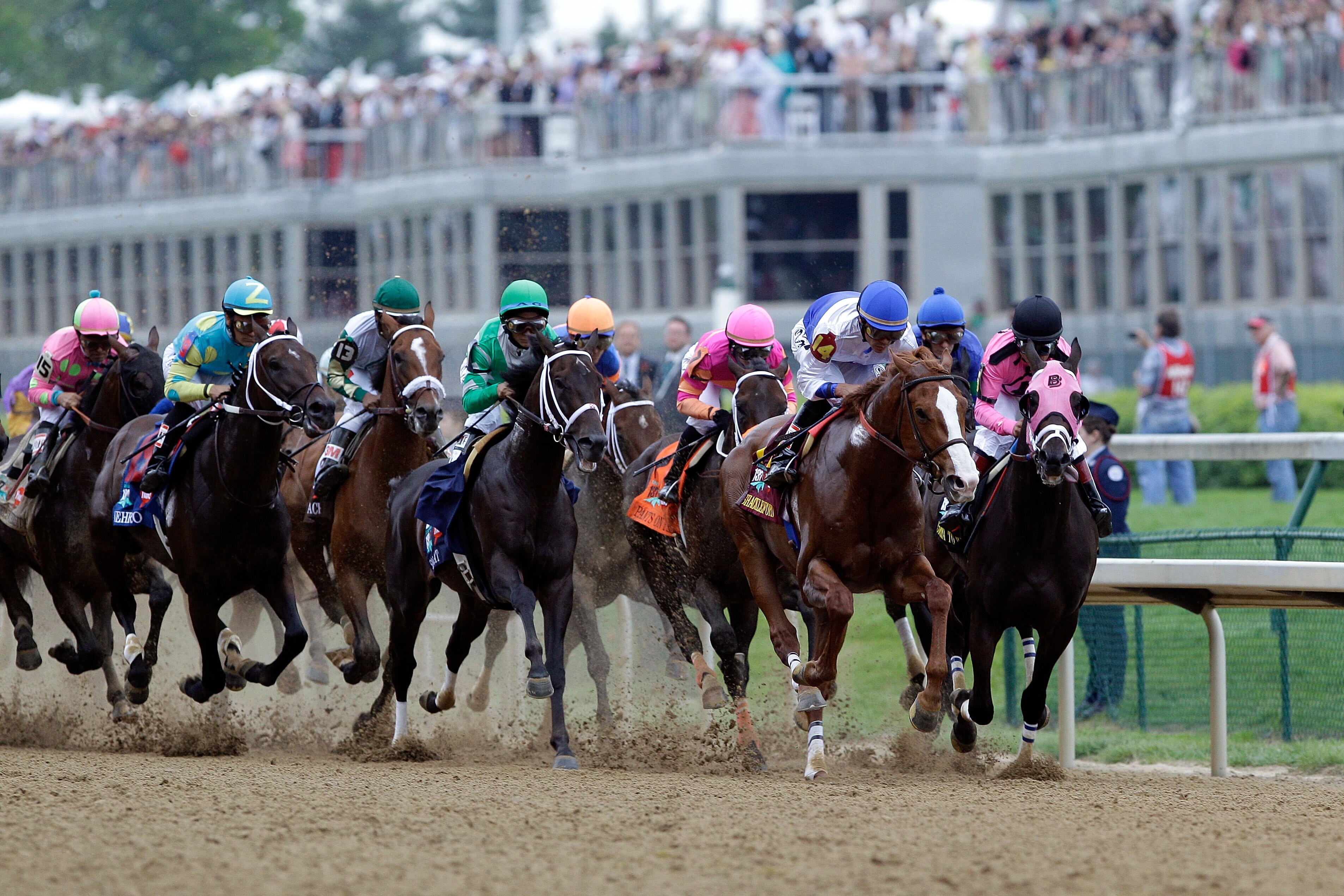 LOUISVILLE, KY - MAY 07: Jockey Jesus L. Castanon (C), riding Shackleford #14, leads the field down the stretch at the start of the 137th Kentucky Derby at Churchill Downs on May 7, 2011 in Louisville, Kentucky. (Photo by Rob Carr/Getty Images) LOUISVILLE, KY - MAY 07: Jockey Jesus L. Castanon (C), riding Shackleford #14, leads the field down the stretch at the start of the 137th Kentucky Derby at Churchill Downs on May 7, 2011 in Louisville, Kentucky. (Photo by Rob Carr/Getty Images)