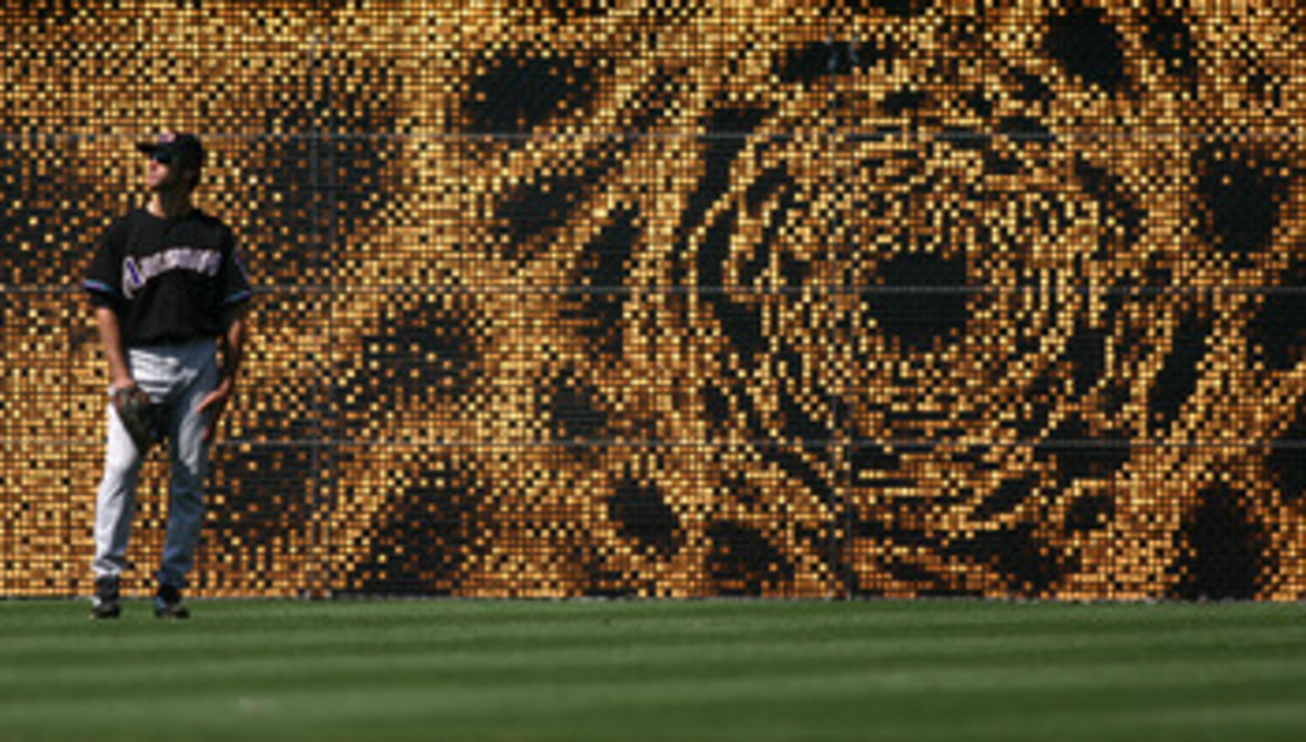 SAN DIEGO, CA - JULY 17:  Shawn Green #15 of the Arizona Diamondbacks looks on from the outfield during their MLB game against the San Diego Padres on July 17, 2005 at Petco Park in San Diego, California. The Diamondbacks won 6-1.  (Photo by Donald Mirall