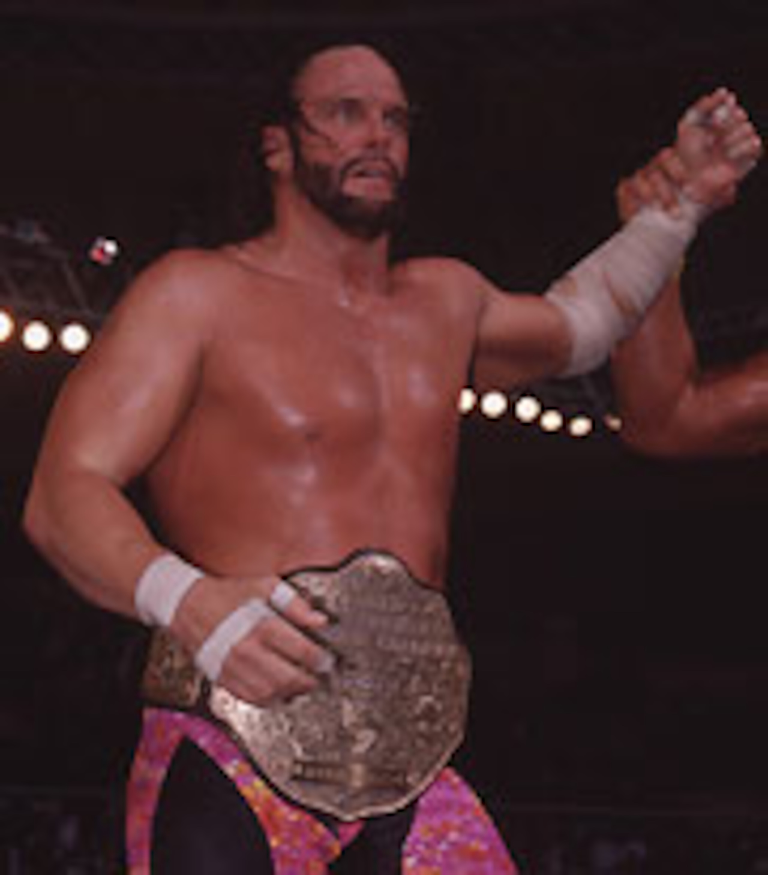 Courtesy of wwe.com
