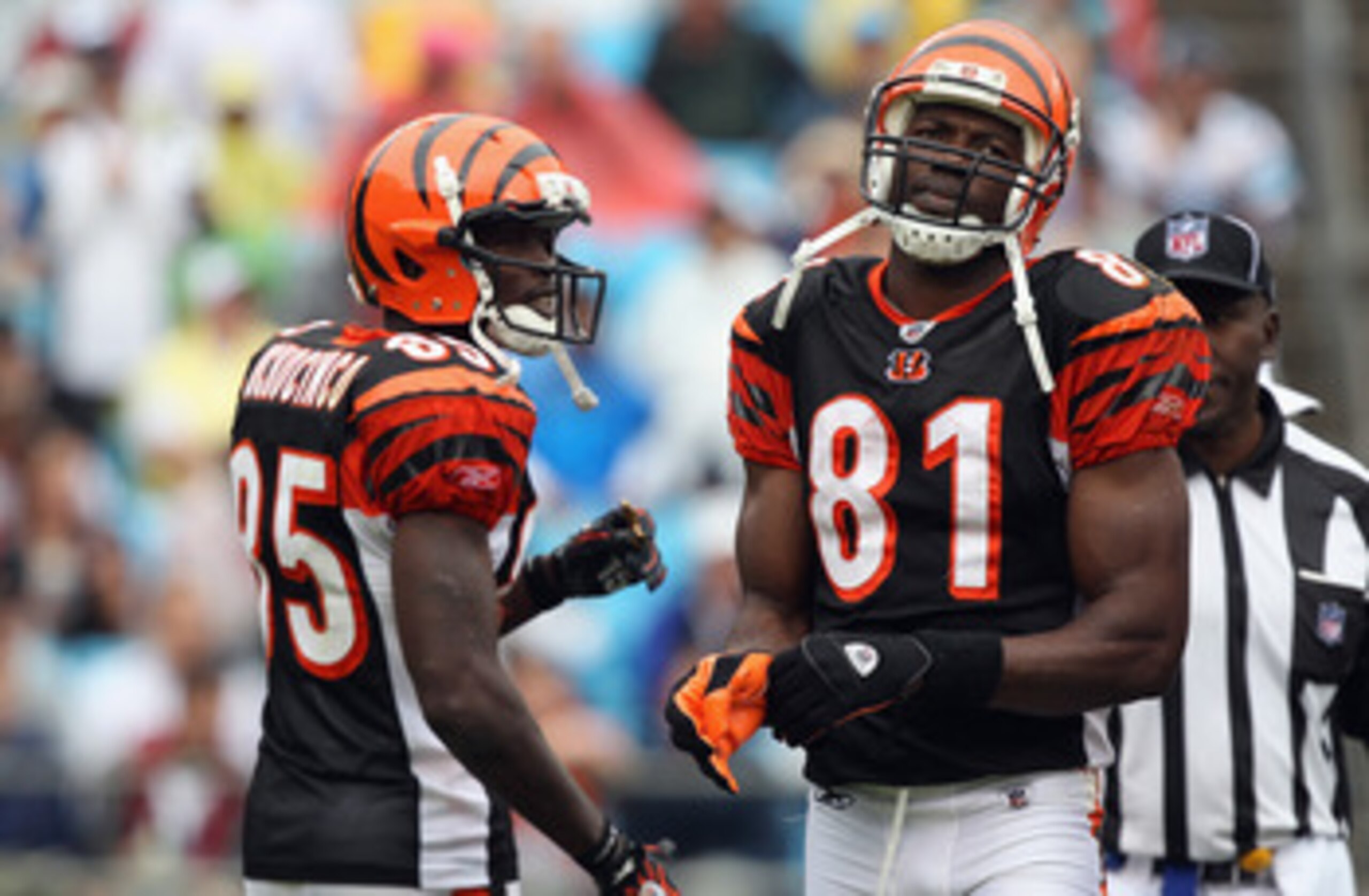 CHARLOTTE, NC - SEPTEMBER 26:  Chad Ochocinco #85 and teammate Terrell Owens #81 of the Cincinnati Bengals wait for a play against the Carolina Panthers during their game at Bank of America Stadium on September 26, 2010 in Charlotte, North Carolina.  (Pho