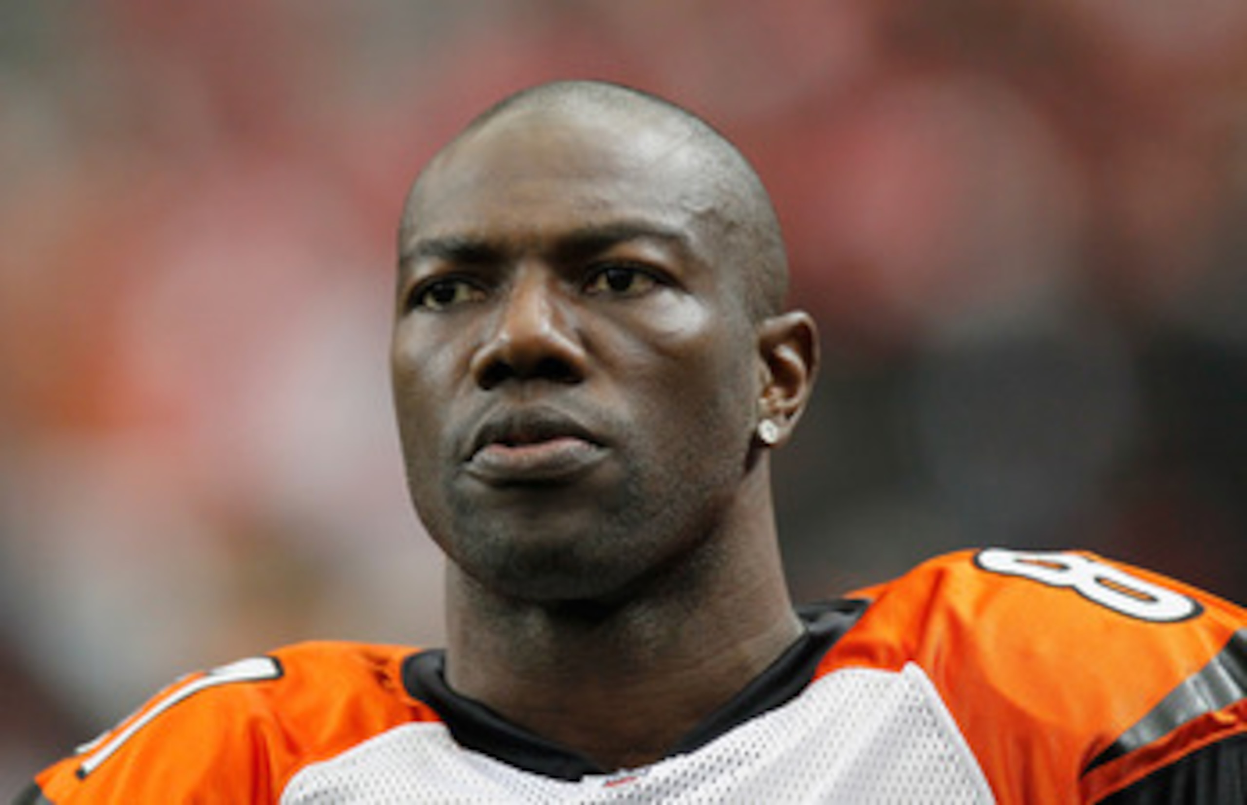 ATLANTA - OCTOBER 24:  Terrell Owens #81 of the Cincinnati Bengals against the Atlanta Falcons at Georgia Dome on October 24, 2010 in Atlanta, Georgia.  (Photo by Kevin C. Cox/Getty Images)
