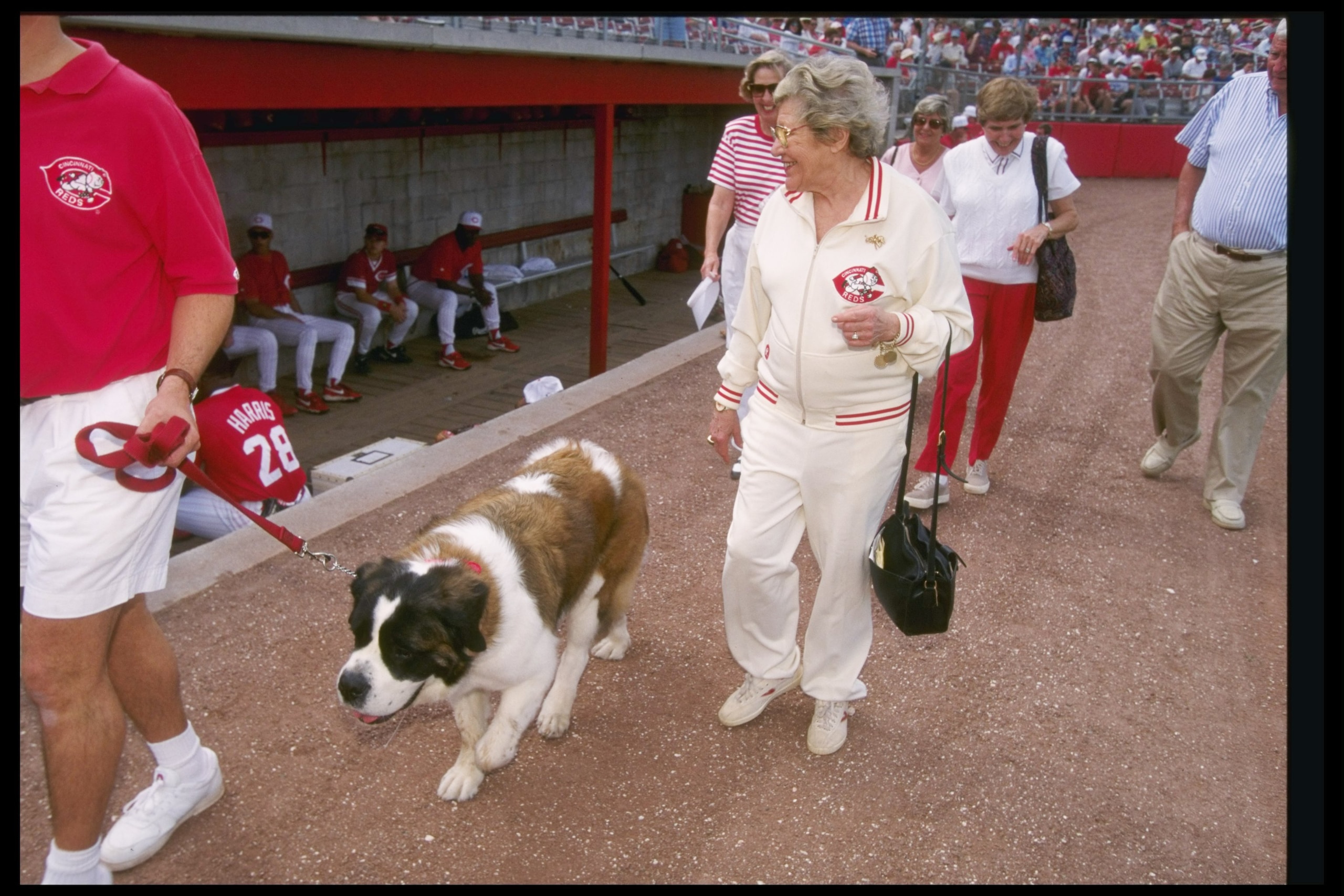 28 Feb 1997:  Cincinnati Reds owner Marge Schott walking past the Cincinnati Reds dugout, with her dog Schottzie, during a spring training game against the Texas Rangers in Plant City, Florida. Mandatory Credit: Allsport  /Allsport
