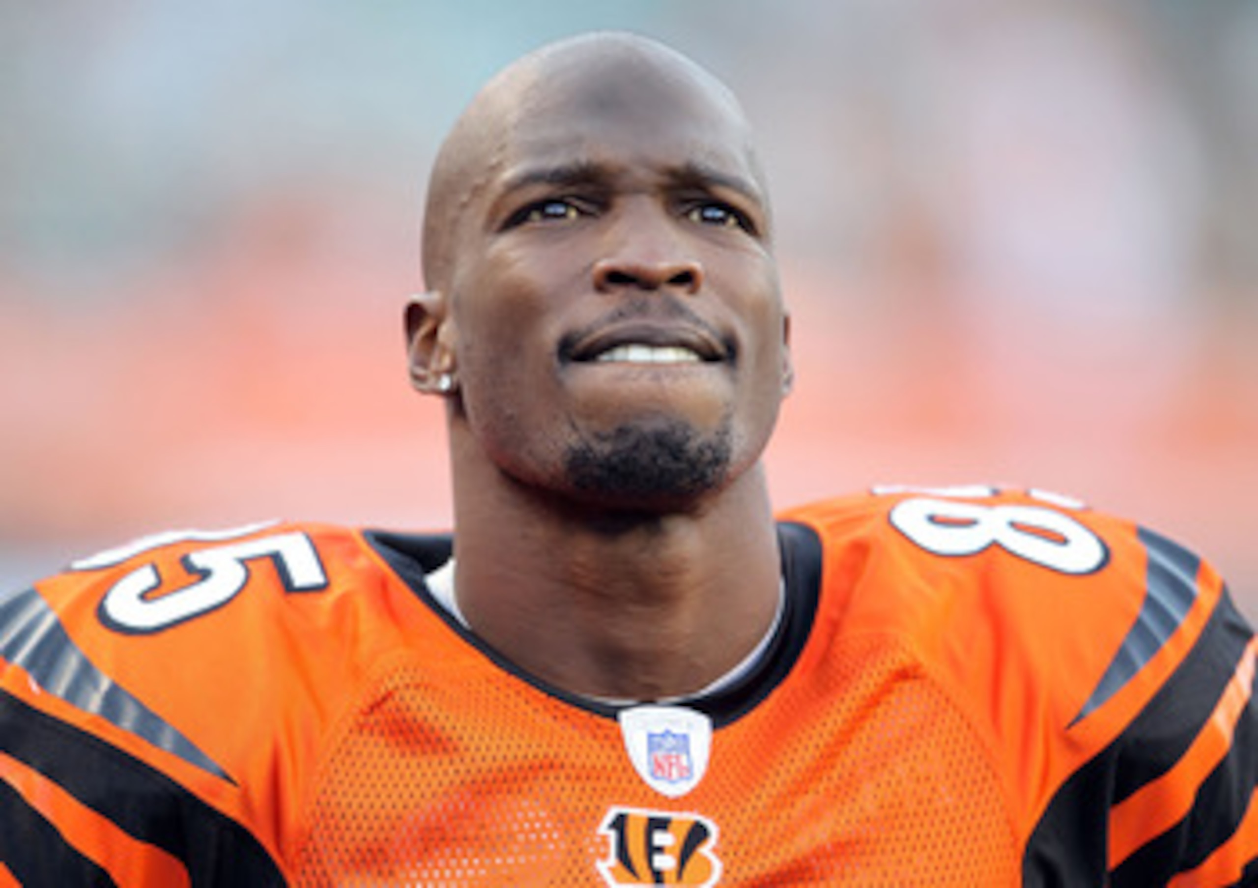 CINCINNATI - NOVEMBER 21:  Chad Ochocinco #85 of the Cincinnati Bengals watches the final minute of the Bengals 49-31 loss to the Buffalo Bills at Paul Brown Stadium on November 21, 2010 in Cincinnati, Ohio.  (Photo by Andy Lyons/Getty Images)