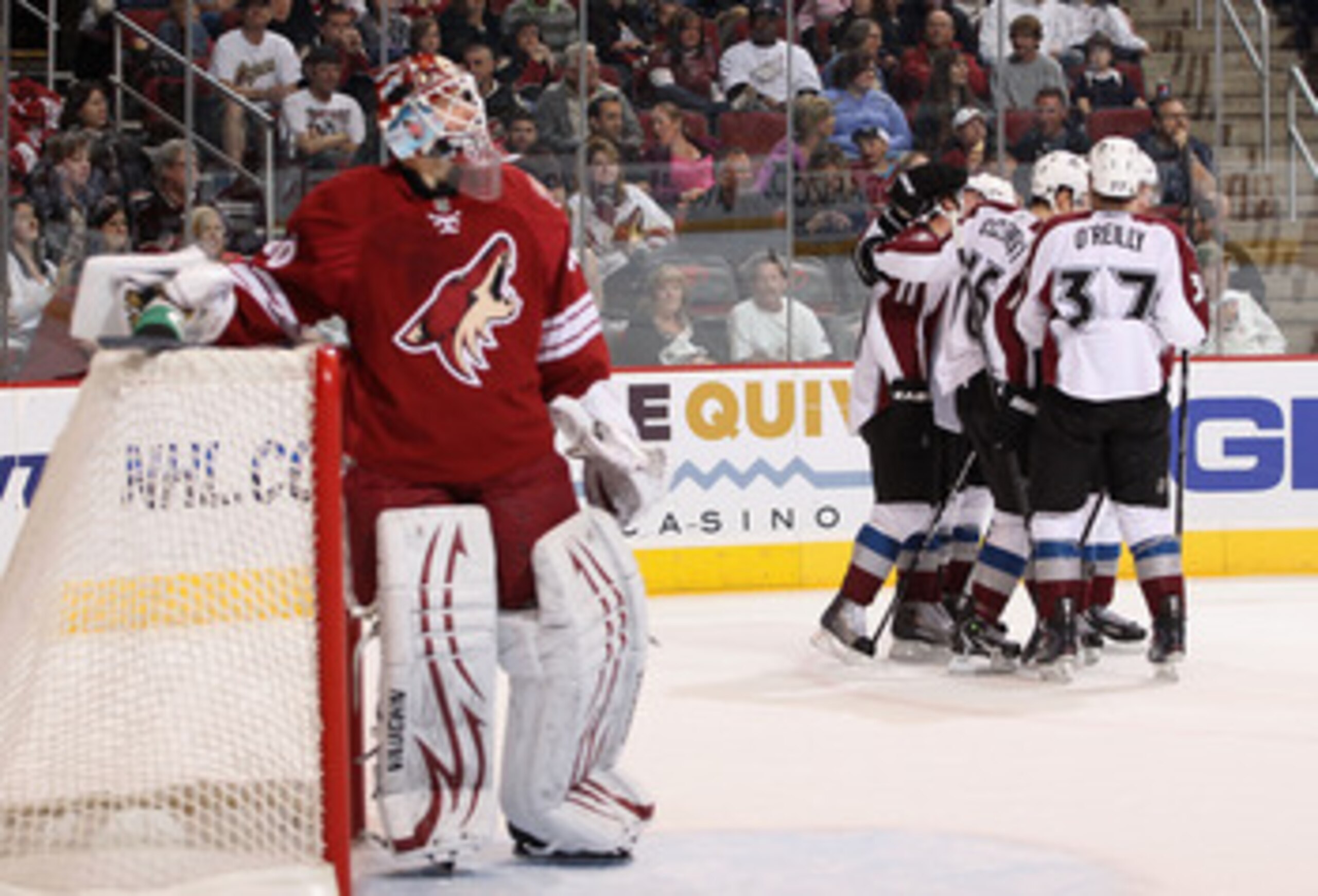 GLENDALE, AZ - APRIL 01:  The Colorado Avalanche celebrate after Philippe Dupuis #11 scored a first period goal past goaltender Ilya Bryzgalov #30 of the Phoenix Coyotes during the NHL game at Jobing.com Arena on April 1, 2011 in Glendale, Arizona.  (Phot