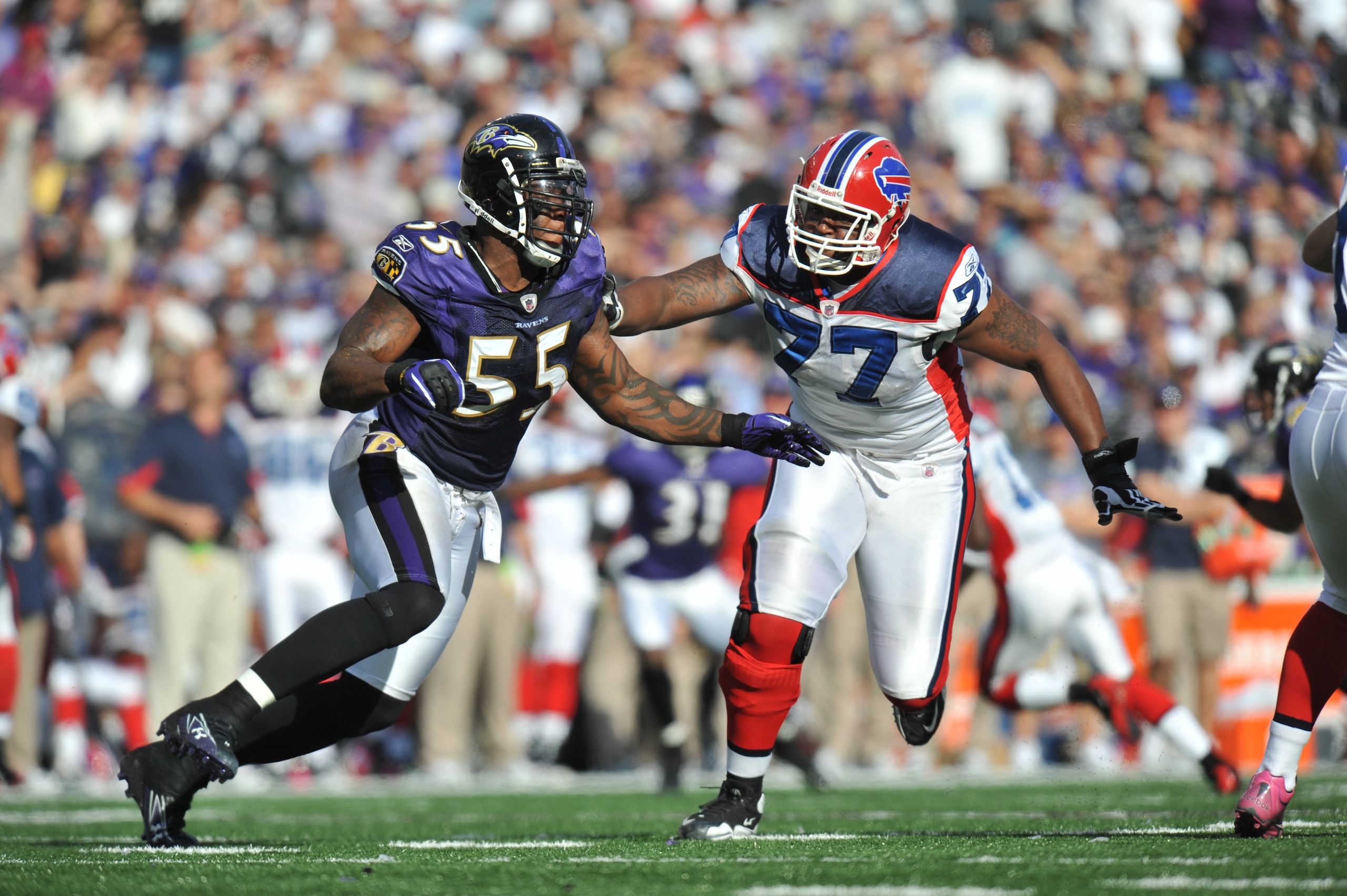 BALTIMORE, MD - OCTOBER 24:  Terrell Suggs #55 of the Baltimore Ravens defends against Demetrius Bell #77 of the Buffalo Bills at M&T Bank Stadium on October 24, 2010 in Baltimore, Maryland. The Ravens defeated the Bills 37-34. (Photo by Larry French/Gett