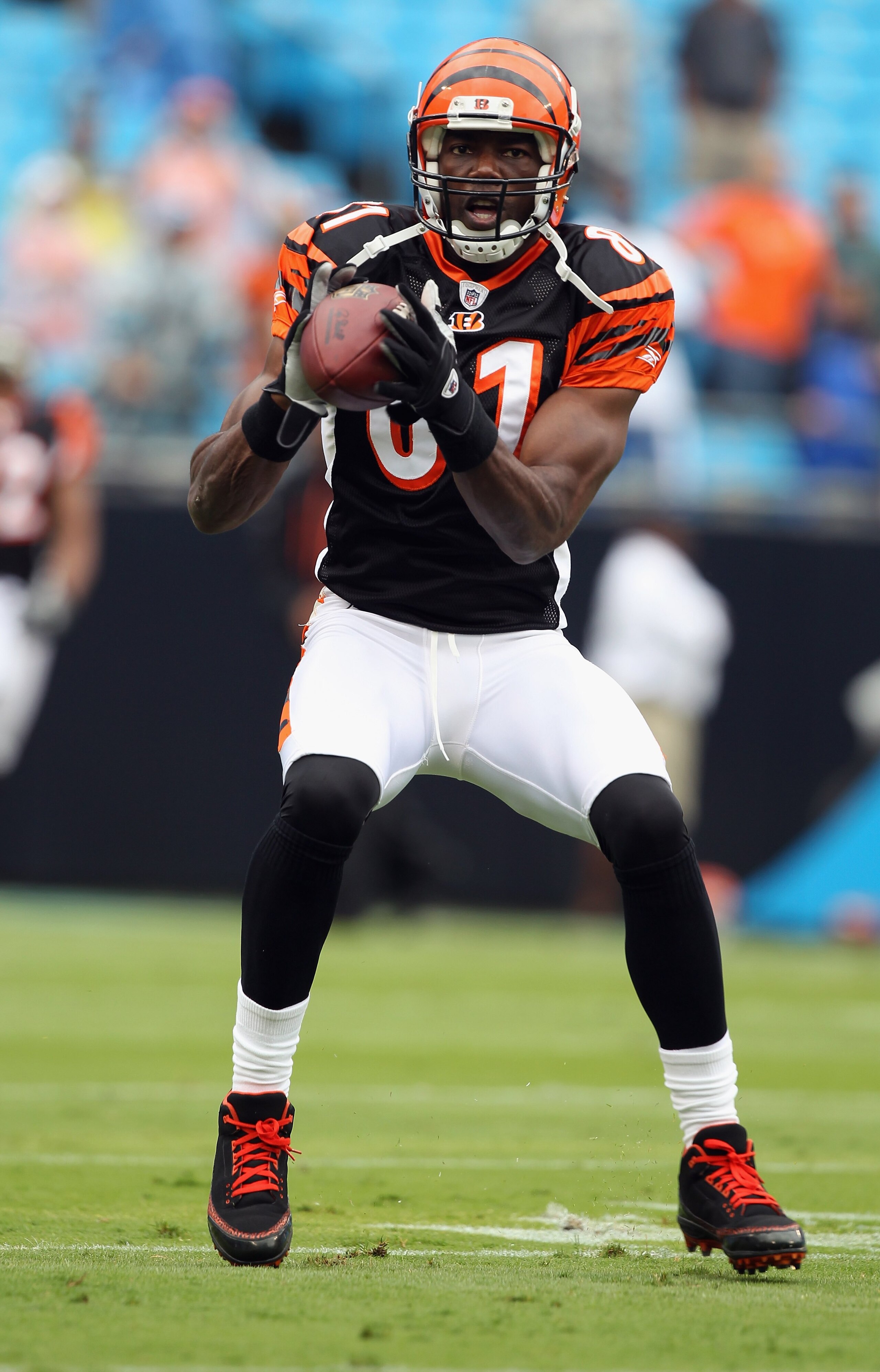 CHARLOTTE, NC - SEPTEMBER 26:  Terrell Owens #81 of the Cincinnati Bengals against the Carolina Panthers during their game at Bank of America Stadium on September 26, 2010 in Charlotte, North Carolina.  (Photo by Streeter Lecka/Getty Images)