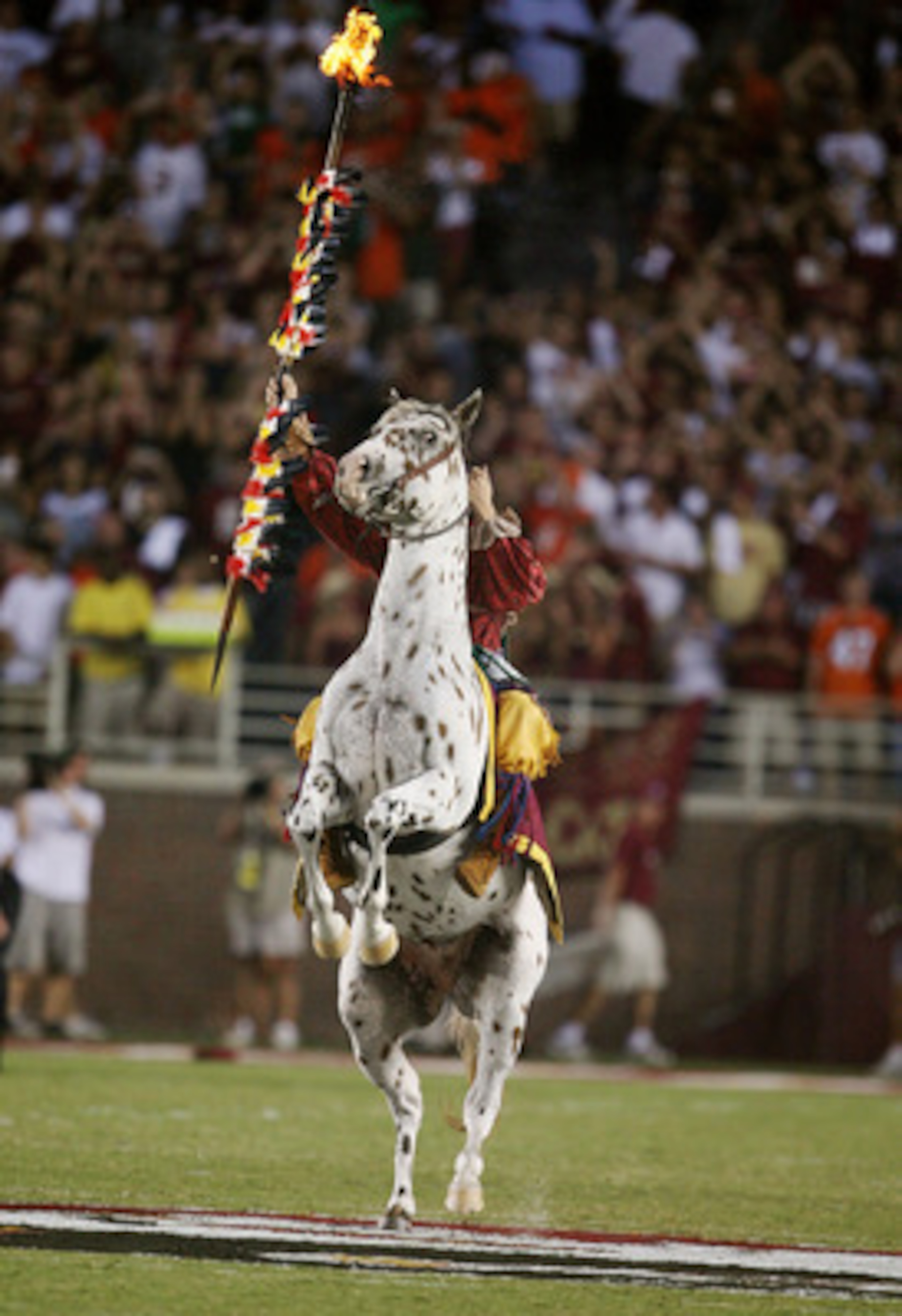 TALLAHASSEE, FL - SEPTEMBER 07:  Renegade rears up as Chief Osceola prepares to bury his spear on the 50-yard line before the Miami Hurricanes take on the Florida State Seminoles at Doak Campbell Stadium on September 7, 2009 in Tallahassee, Florida. Miami