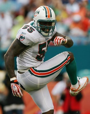 MIAMI - OCTOBER 05:  Linebacker Joey Porter #55 of the Miami Dolphins celebrates after making a tackle for a loss while taking on the San Diego Chargers at Dolphin Stadium on October 5, 2008 in Miami, Florida. The Dolphins defeated the Chargers 17-10.  (P