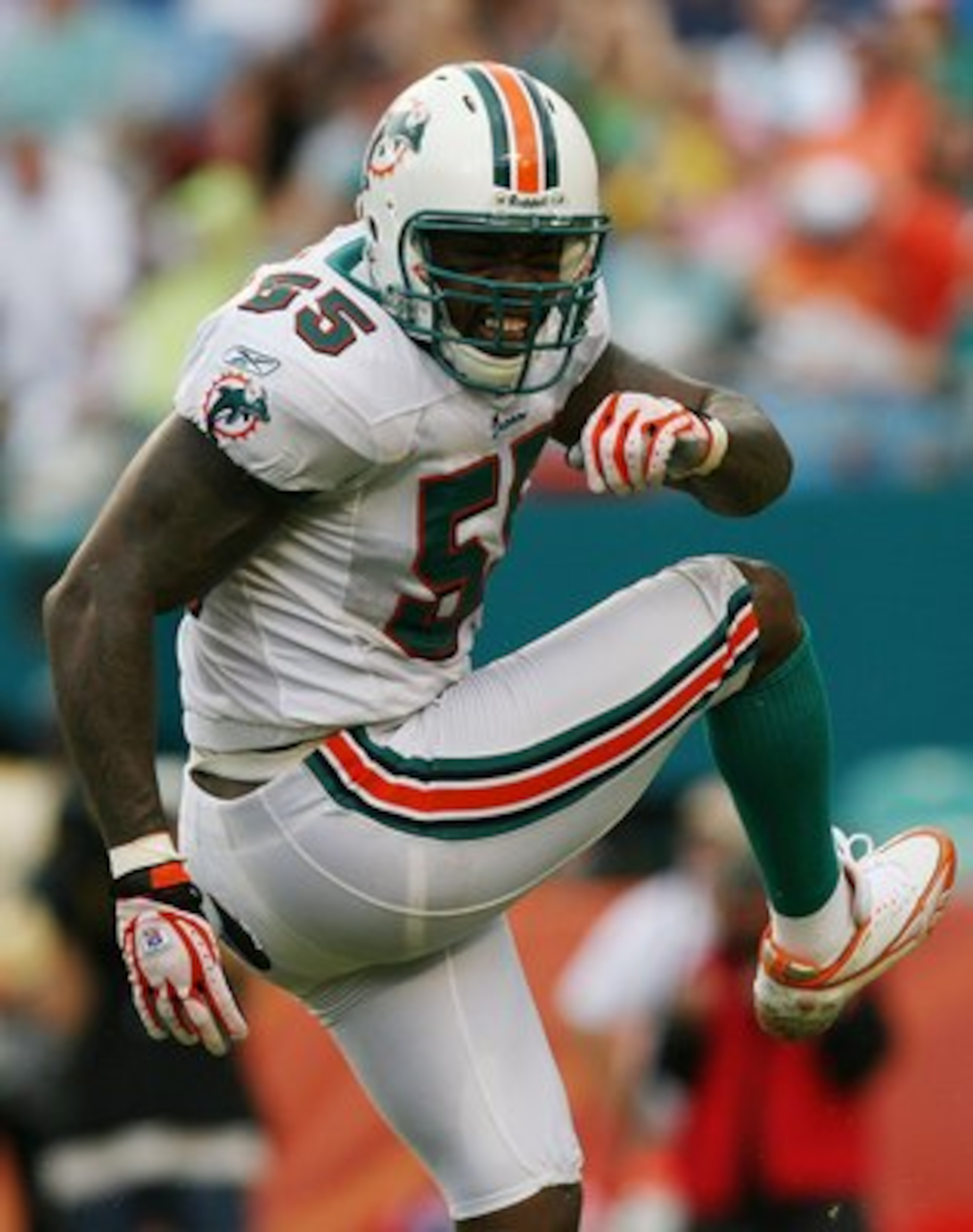 MIAMI - OCTOBER 05:  Linebacker Joey Porter #55 of the Miami Dolphins celebrates after making a tackle for a loss while taking on the San Diego Chargers at Dolphin Stadium on October 5, 2008 in Miami, Florida. The Dolphins defeated the Chargers 17-10.  (P