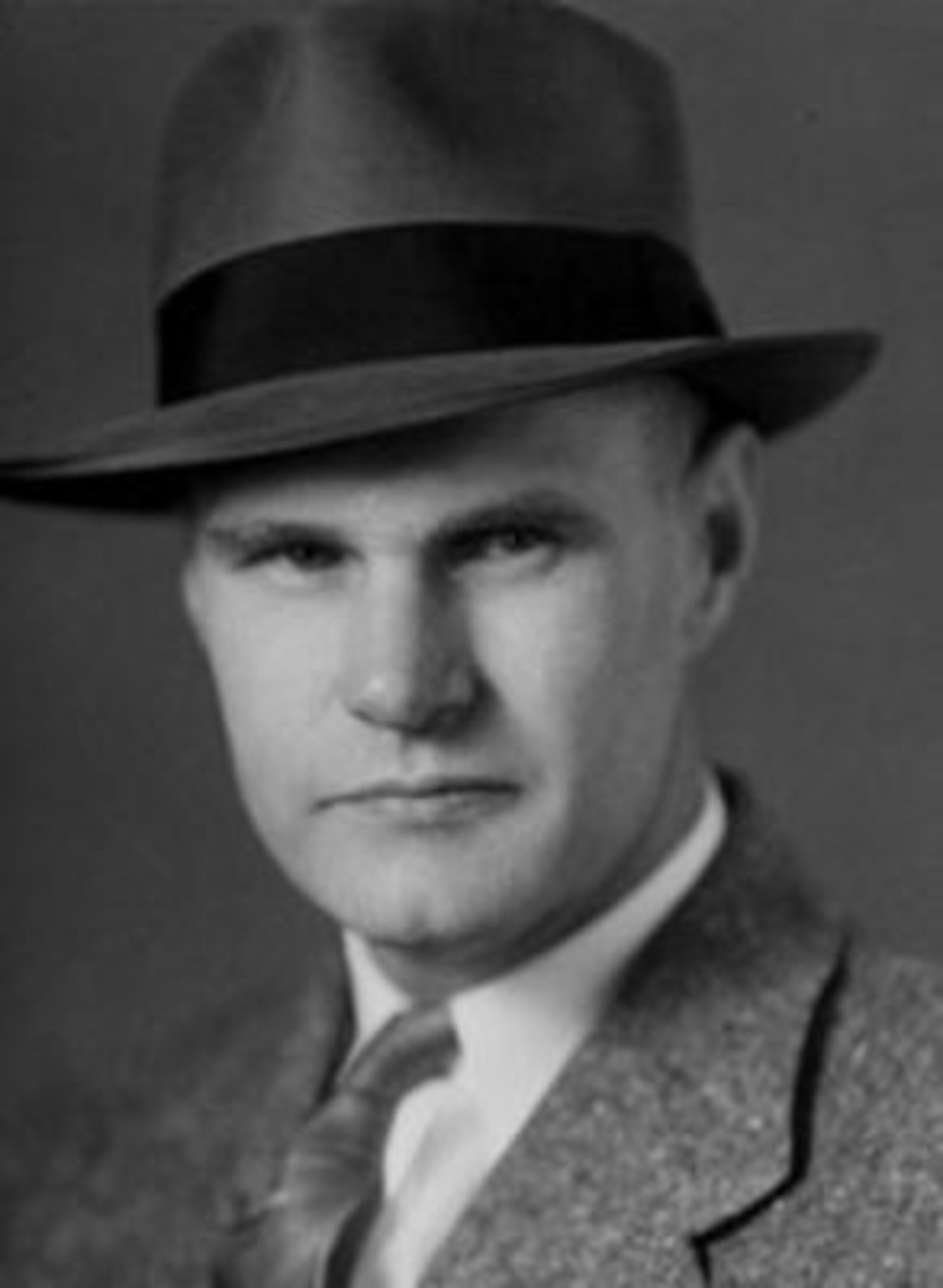 Photo Courtesy of wikipedia.org