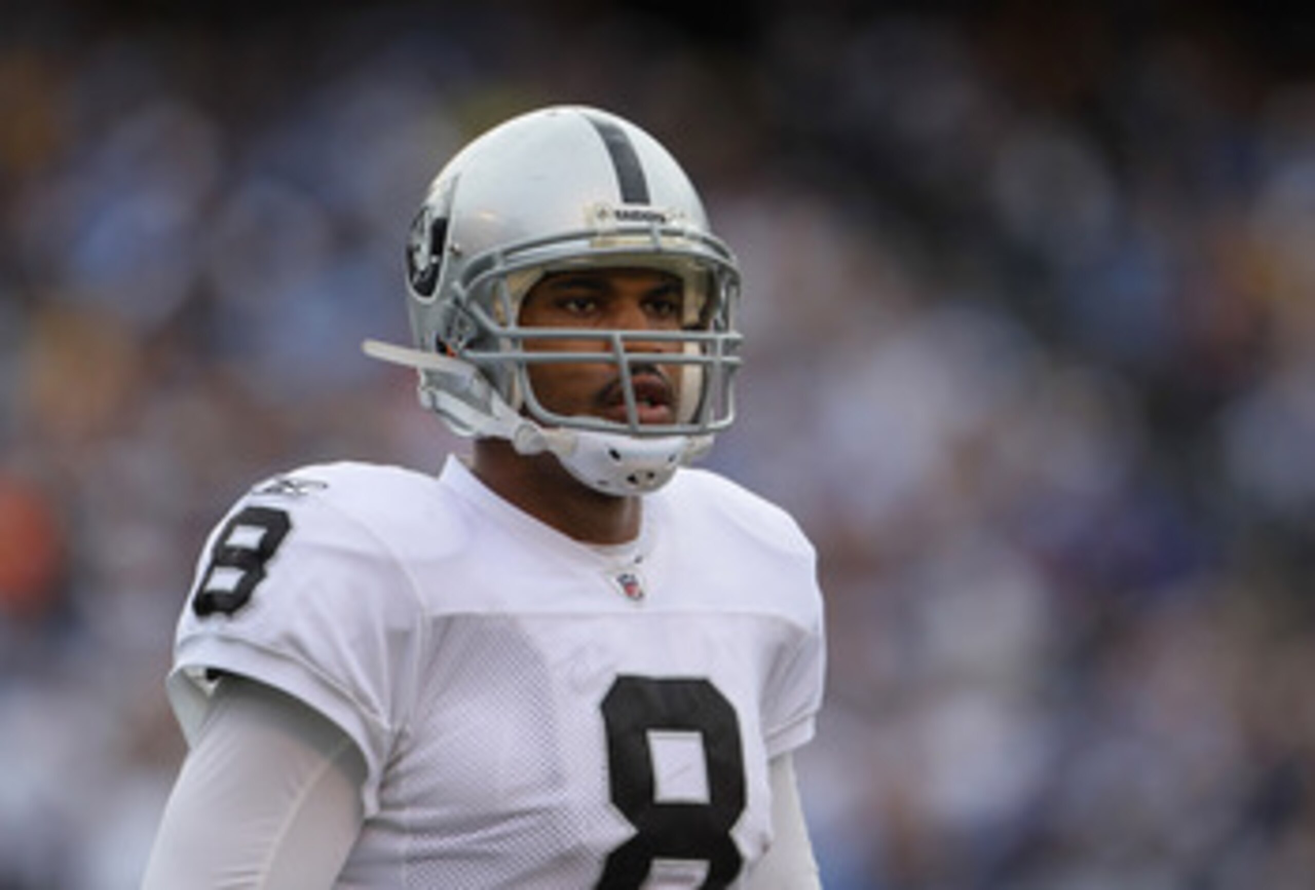SAN DIEGO - DECEMBER 05:  Quarterback Jason Campbell #8 the Oakland Raiders looks on against the San Diego Chargers at Qualcomm Stadium on December 5, 2010 in San Diego, California. The Raiders defeated the Chargers 28-13.  (Photo by Jeff Gross/Getty Imag
