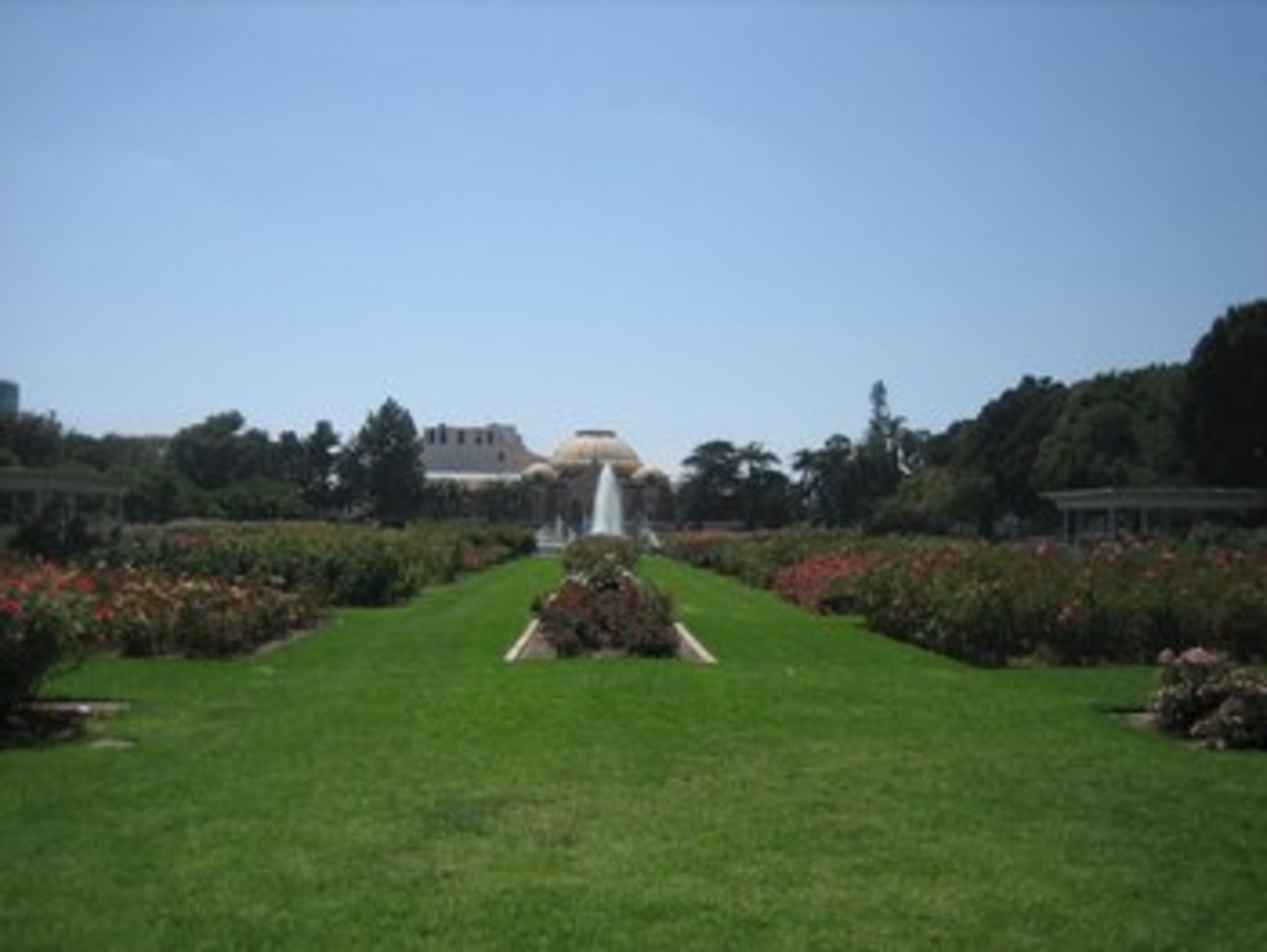 photo from laplaces.blogspot.com