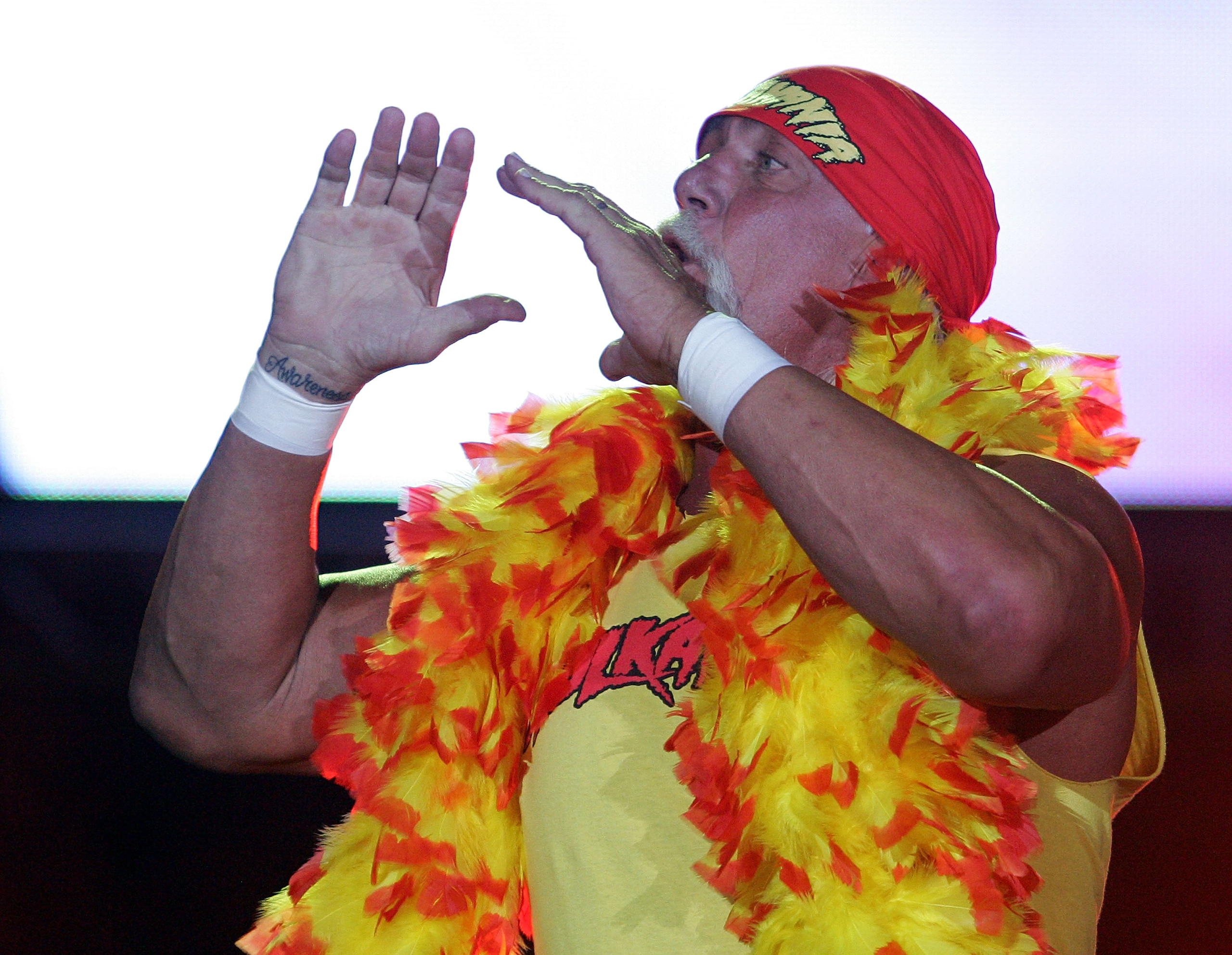 PERTH, AUSTRALIA - NOVEMBER 24:  Hulk Hogan enters the stage prior to his bout against Ric Flair during the Hulkamania Tour at the Burswood Dome on November 24, 2009 in Perth, Australia.  (Photo by Paul Kane/Getty Images)
