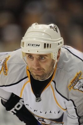 DALLAS - FEBRUARY 08:  Radek Bonk #14 of the Nashville Predators during play against the Dallas Stars at the American Airlines Center on February 8, 2009 in Dallas, Texas.  (Photo by Ronald Martinez/Getty Images)