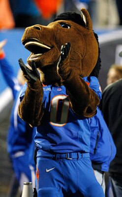 LAS VEGAS, NV - DECEMBER 22:  The Boise State Broncos mascot Buster appears on the sideline during the MAACO Bowl Las Vegas against the Utah Utes at Sam Boyd Stadium December 22, 2010 in Las Vegas, Nevada. Boise State Won 26-3.  (Photo by Ethan Miller/Get