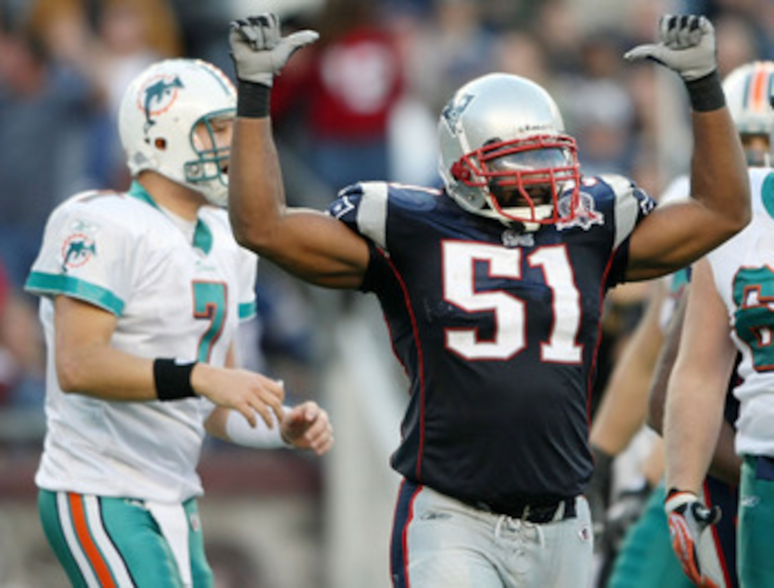 FOXBORO, MA - NOVEMBER 08:  Jerod Mayo #51 of the New England Patriots celebrates making a stop as Chad Henne #7 of the Miami Dolphins looks on November 8, 2009 at Gillette Stadium in Foxboro, Massachusetts. The Patriots defeated the Dolphins 27-17.  (Pho