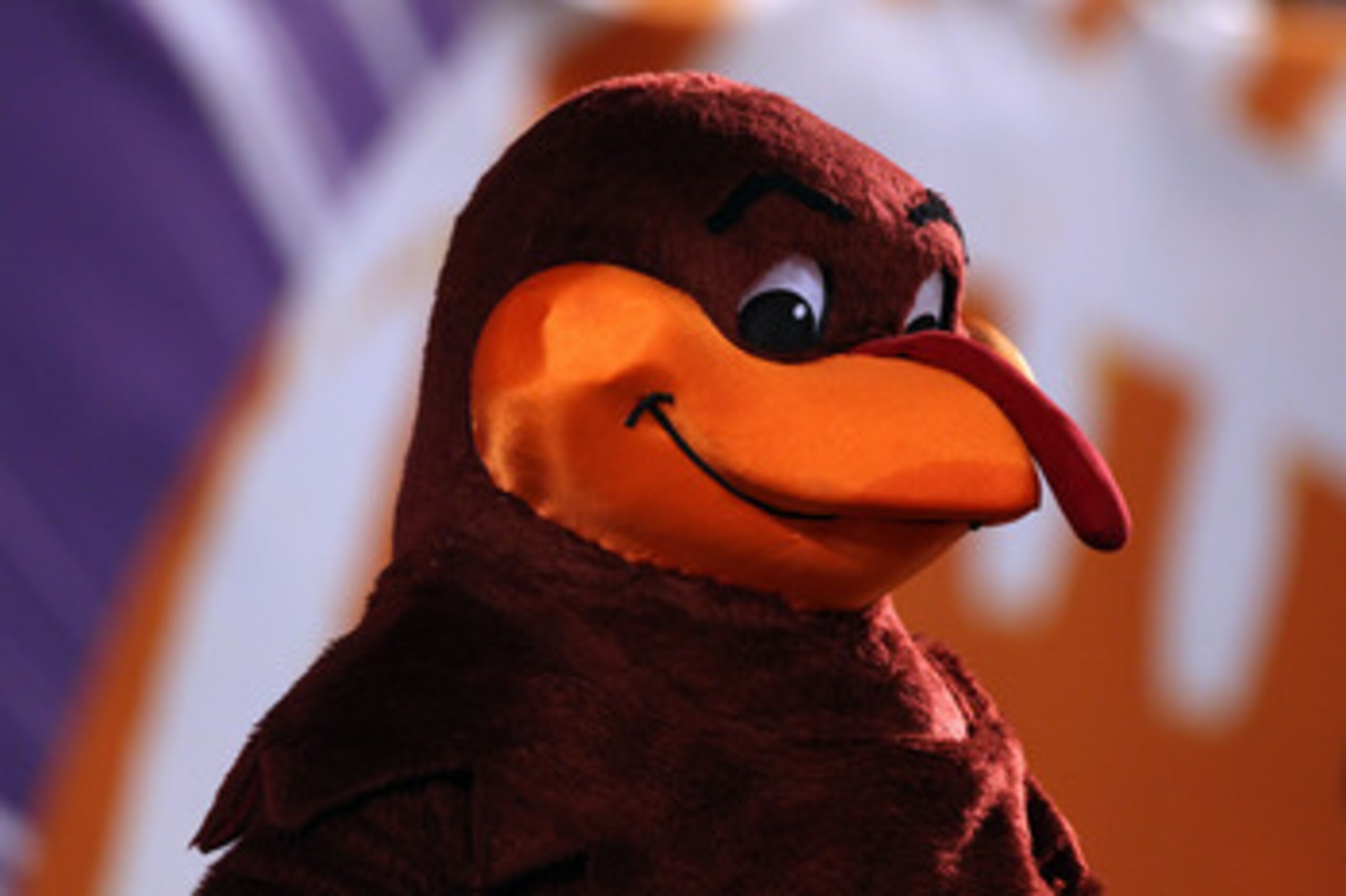 MIAMI, FL - JANUARY 03:  Hokie Bird, mascot of the Virginia Tech Hokies looks on against the Stanford Cardinal during the 2011 Discover Orange Bowl at Sun Life Stadium on January 3, 2011 in Miami, Florida. Stanford won 40-12. (Photo by Streeter Lecka/Gett