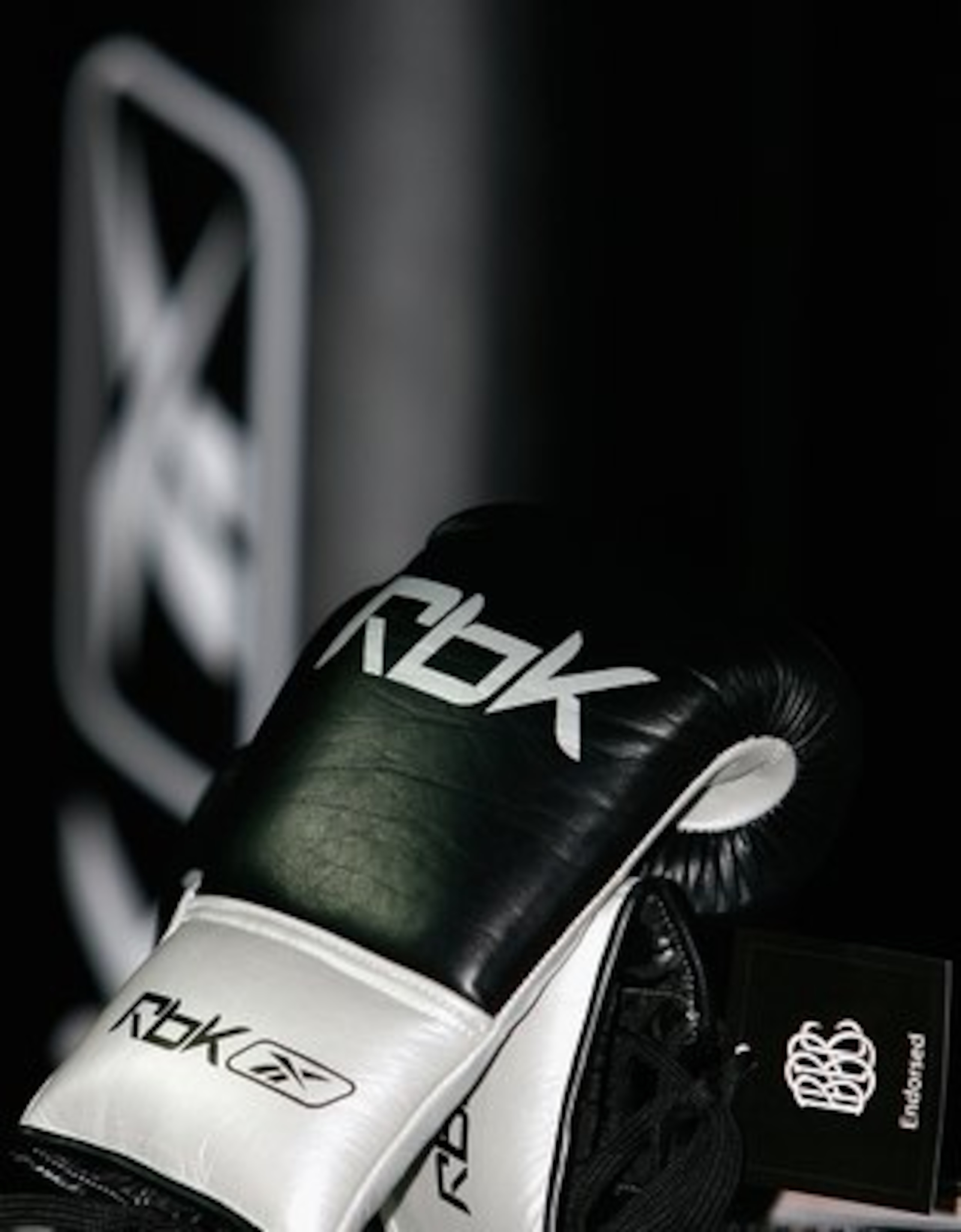 LONDON - NOVEMBER 16:  Reebok Boxing Gloves are shown during the British Boxing Board of Control Press Conference at London Pavillion on November 16, 2006 in London, United Kingdom. The BBBC announced a one year deal with Reebok to supply boxing gloves fo