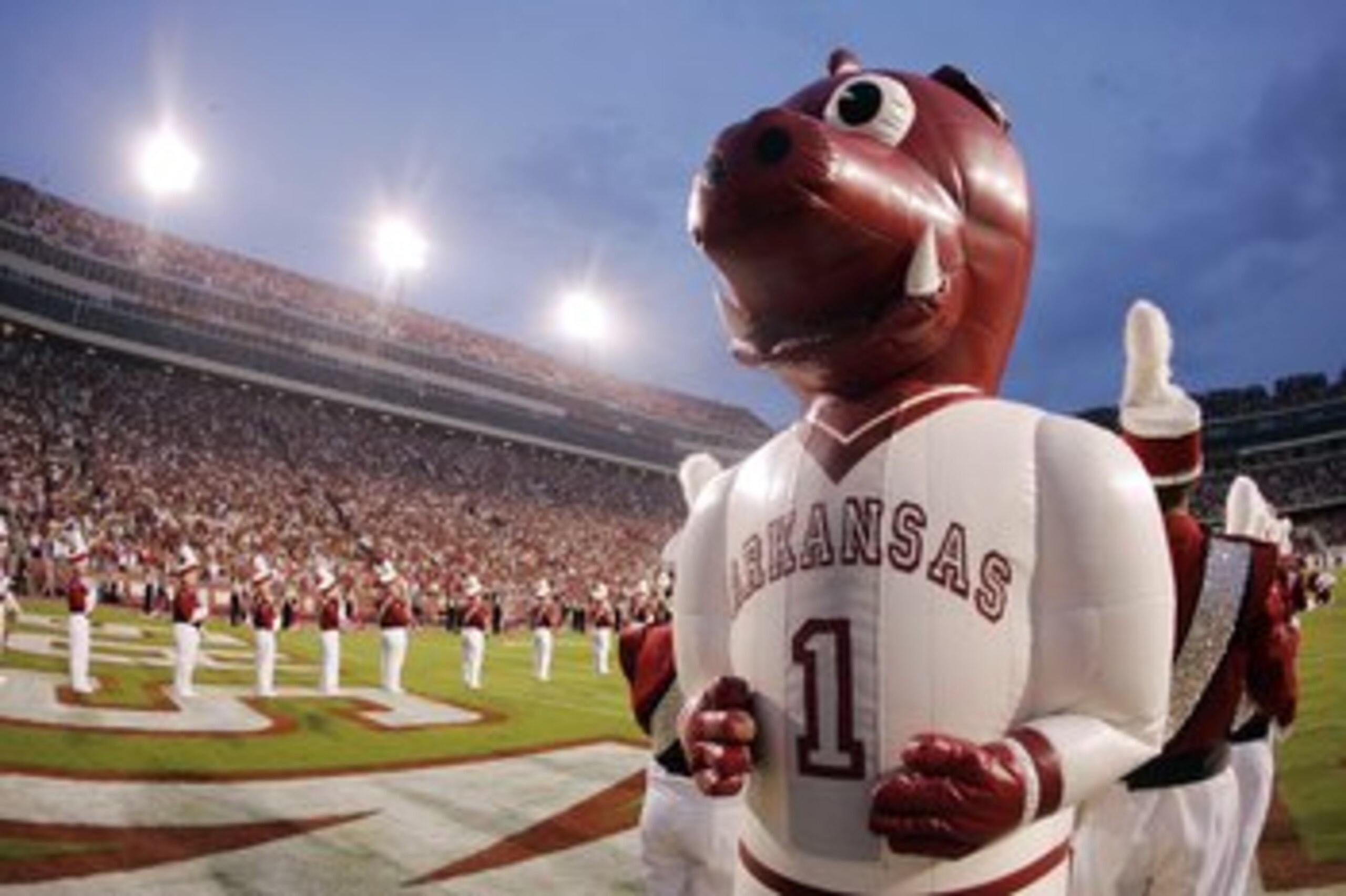 FAYETTEVILLE, AR - SEPTEMBER 02:  An inflatable mascot from the University of Arkansas Razorbacks awaits the teams entrance for a game against the University of Southern California Trojans on September 2, 2006 at Donald W. Reynolds Razorback Stadium in Fa