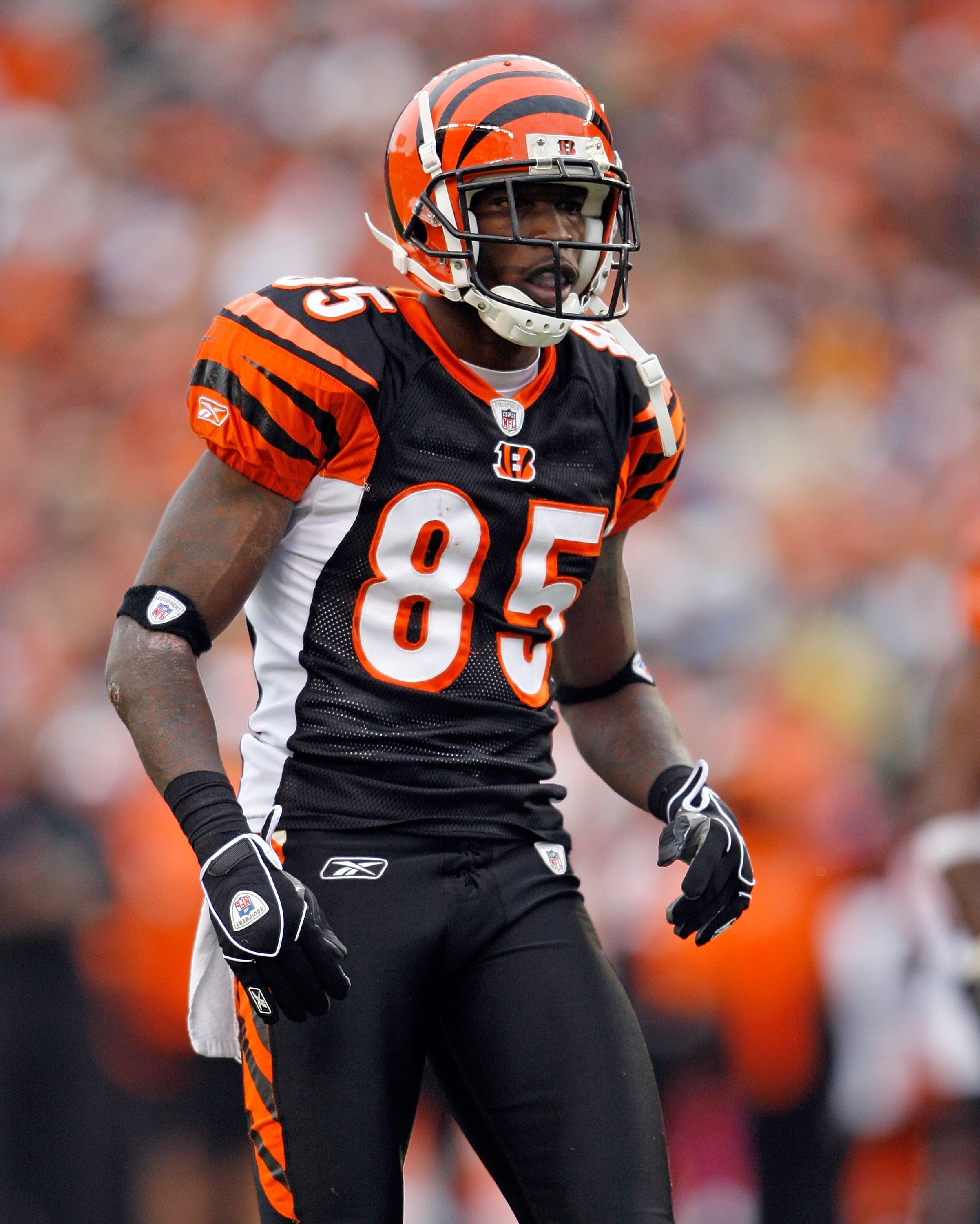 CINCINNATI - OCTOBER 25:  Chad Ochocinco #85 of the Cincinnati Bengals is pictured during the NFL game against the Chicago Bears at Paul Brown Stadium on October 25, 2009 in Cincinnati, Ohio.  The Bengals won 45-10.  (Photo by Andy Lyons/Getty Images)