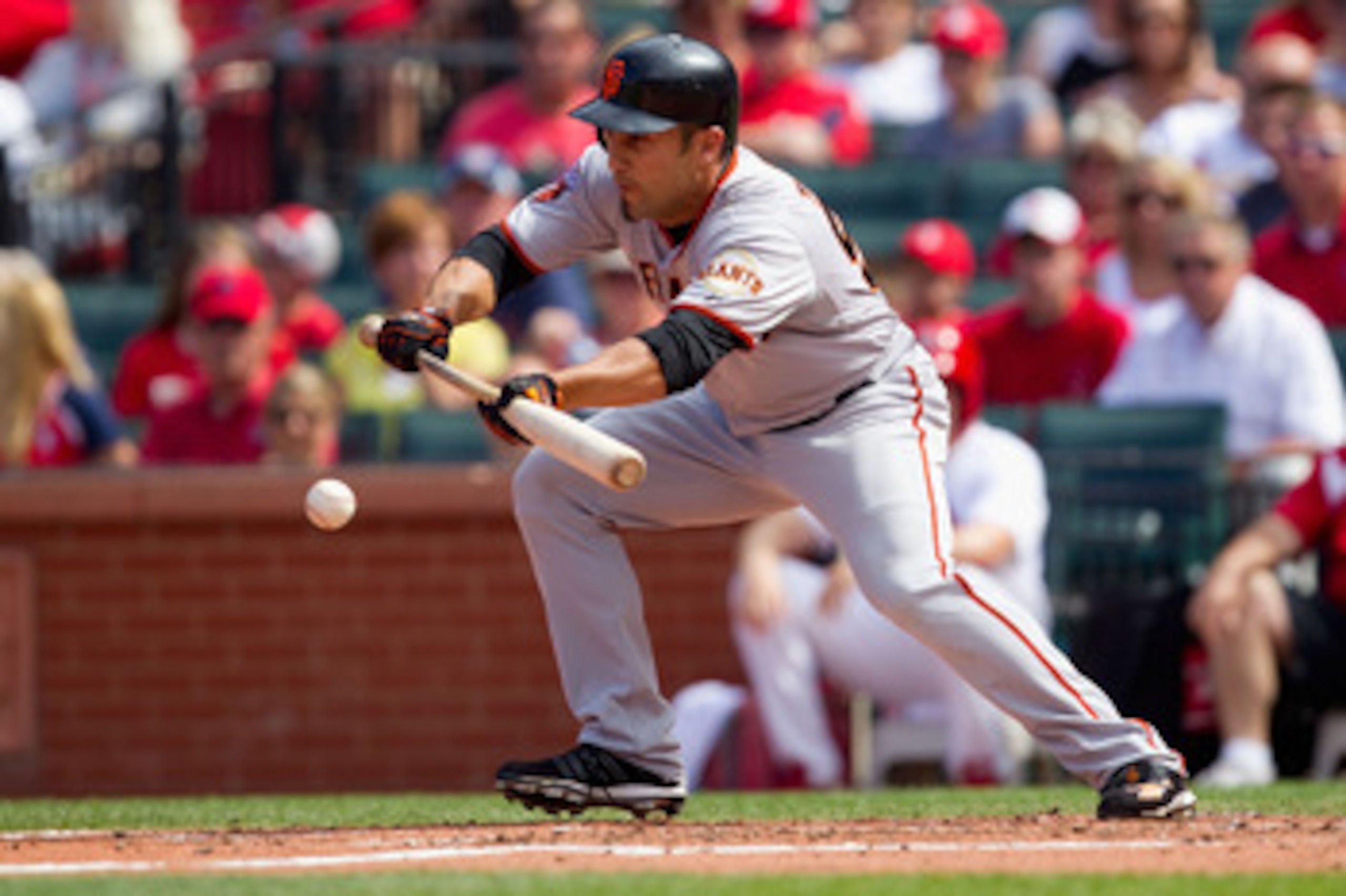 ST. LOUIS, MO - MAY 30: Andres Torres #56 of the San Francisco Giants lays down a sacrifice bunt against the St. Louis Cardinals at Busch Stadium on May 30, 2011 in St. Louis, Missouri.  (Photo by Dilip Vishwanat/Getty Images)