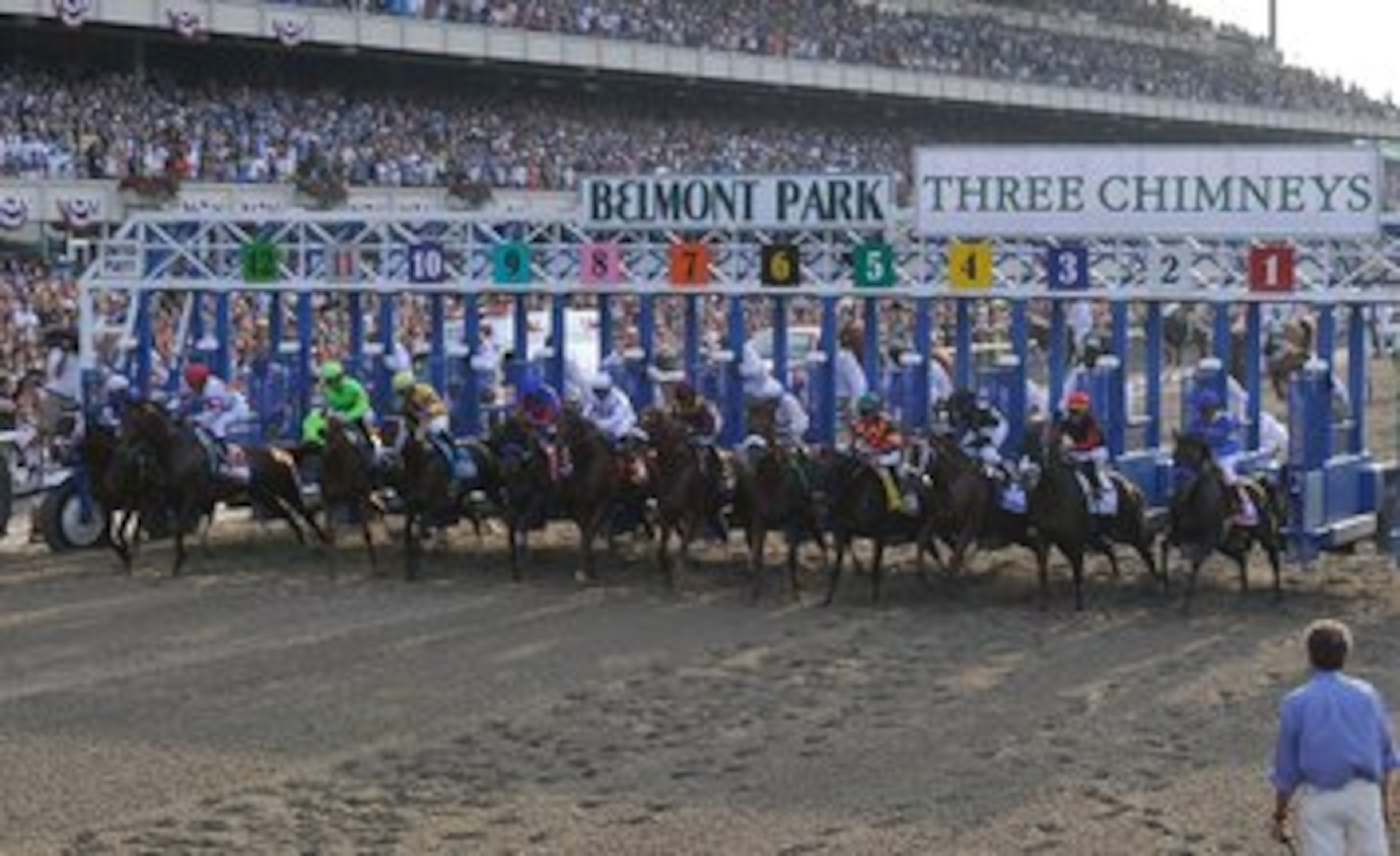 ELMONT, NY - JUNE 05:  The horses break out of the starting gate at the running of the 142nd Belmont Stakes at Belmont Park on June 5, 2010 in Elmont, New York.  (Photo by Paul Bereswill/Getty Images)