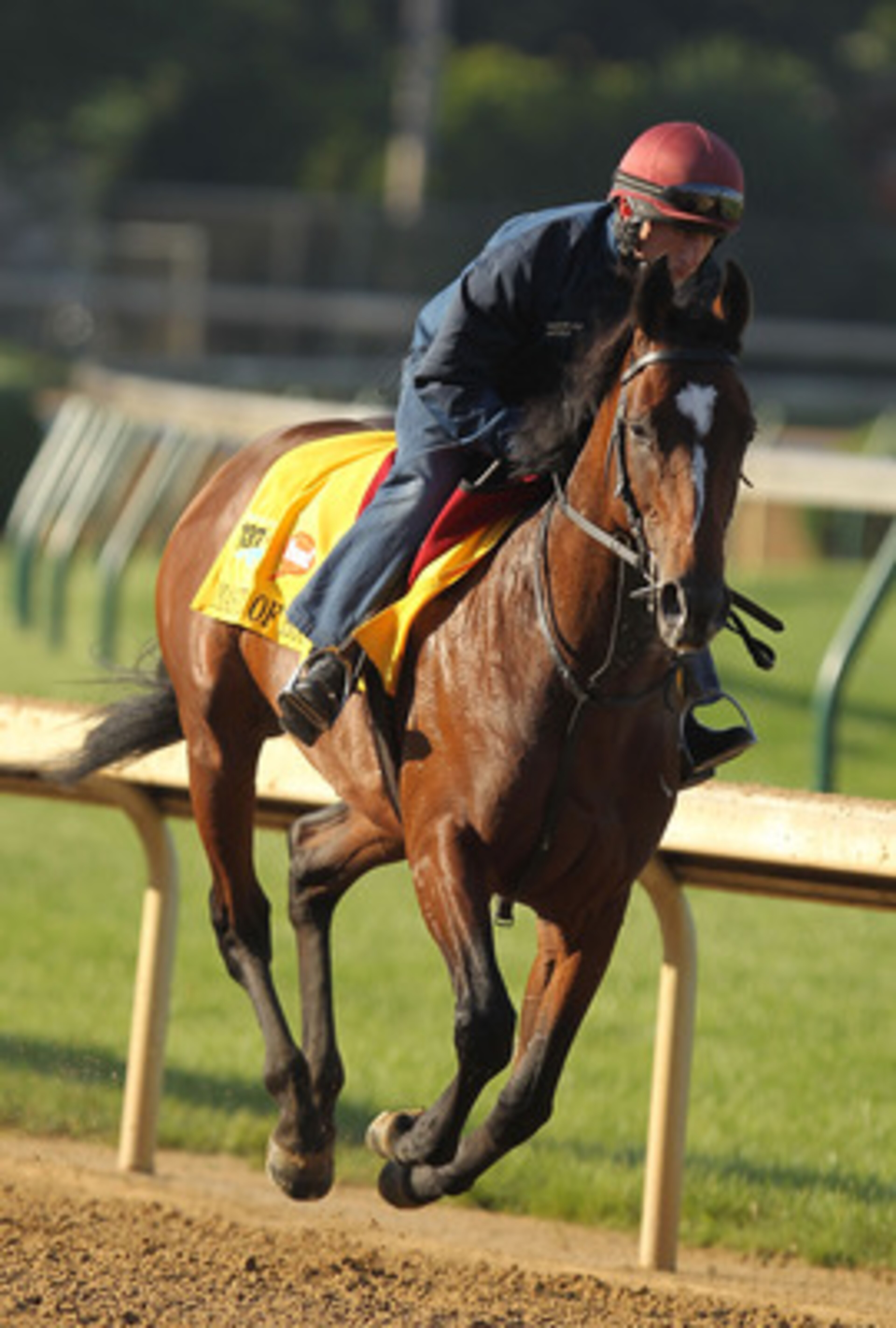 LOUISVILLE, KY - MAY 05:  Master of Hounds trains during the morning exercise session in preparation for the 137th Kentucky Derby at Churchill Downs on May 5, 2011 in Louisville, Kentucky.  (Photo by Al Bello/Getty Images)