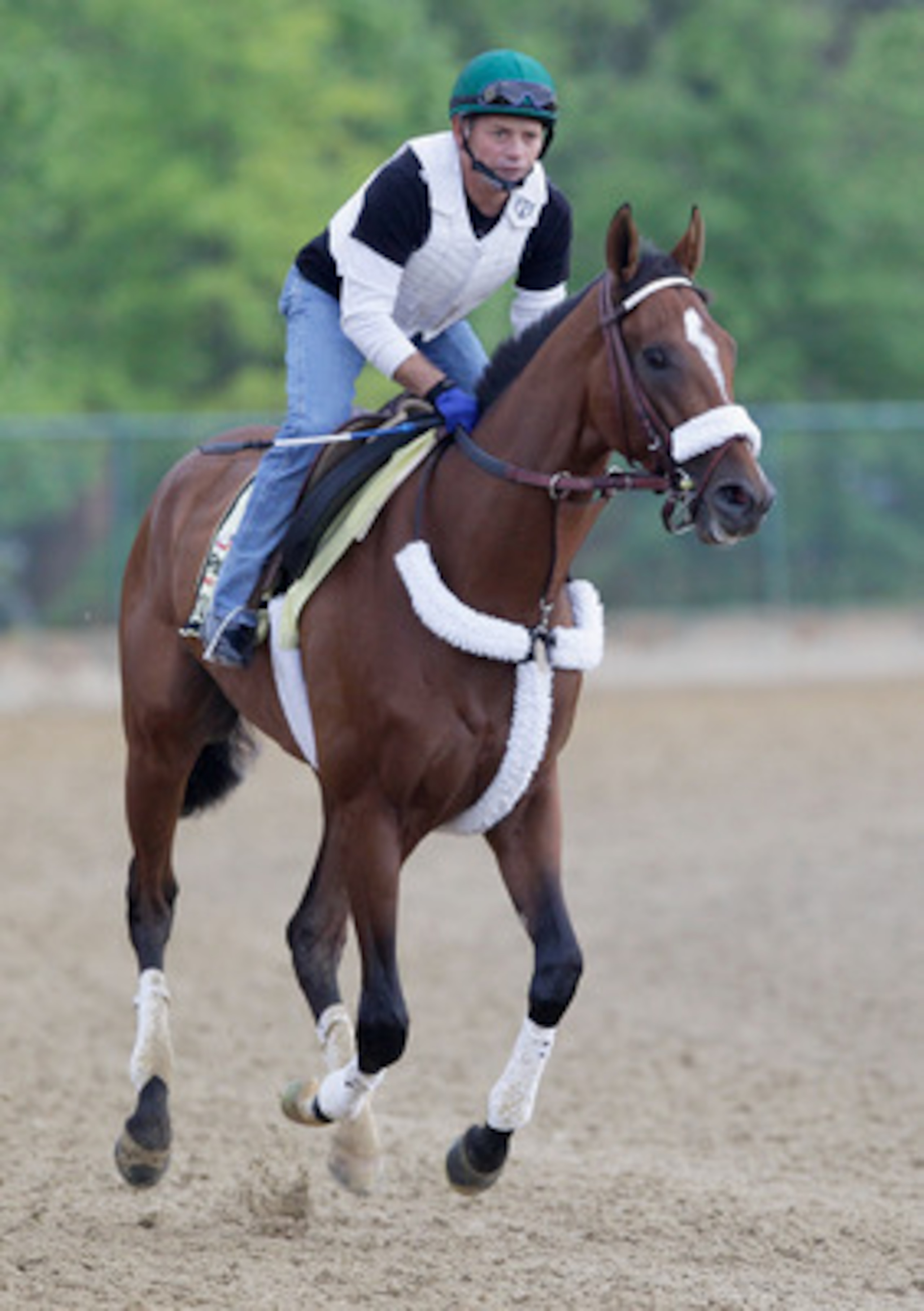 BALTIMORE, MD - MAY 20:  Exercise rider Heriberto Pulgar takes Preakness entrant Mucho Macho Man over the track at Pimlico Race Course on May 20, 2011 in Baltimore, Maryland. The 136th running of the Preakness Stakes will take place on May 21.   (Photo by
