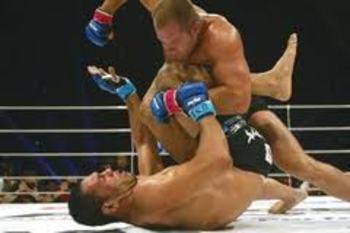 Fedor Emelianenko delivering vicious ground-and-pound