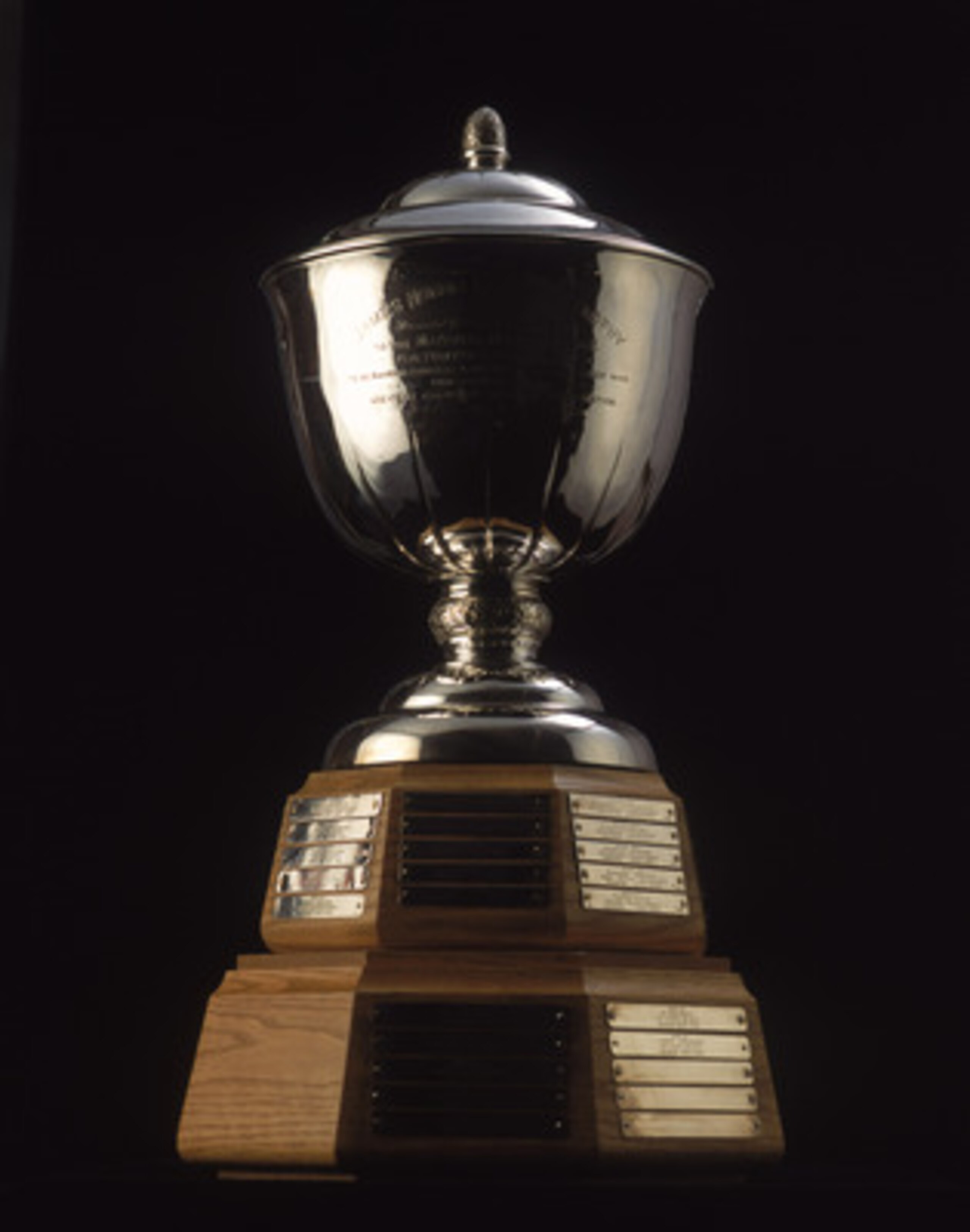 TORONTO - JANUARY 1:  The James Norris Memorial Trophy is presented yearly to the Top Defenseman in the League by the National Hockey League as pictured on January 01, 2001.  (Photo by Silva Pecota /Getty Images/NHLI)