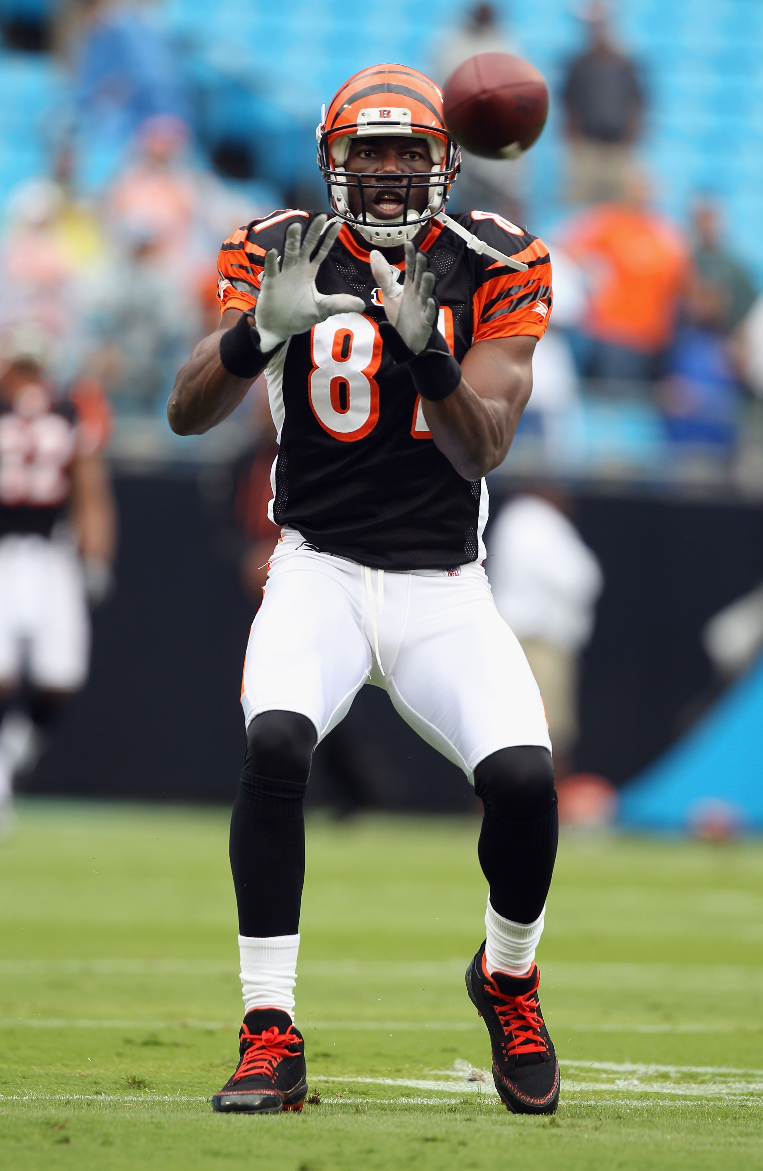 CHARLOTTE, NC - SEPTEMBER 26:  Terrell Owens #81 of the Cincinnati Bengals warms up before the start of their game against the Carolina Panthers at Bank of America Stadium on September 26, 2010 in Charlotte, North Carolina.  (Photo by Streeter Lecka/Getty