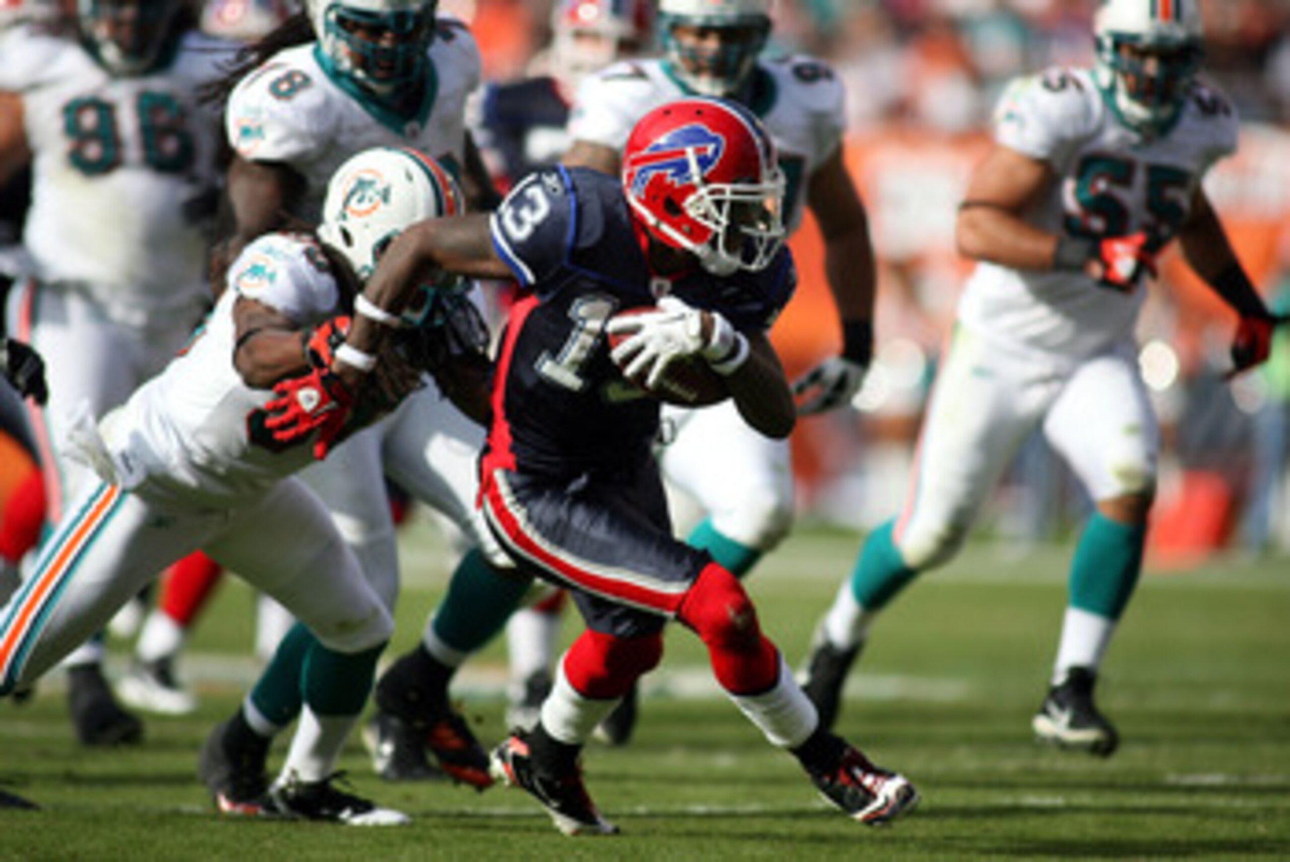 MIAMI - DECEMBER 19:  Receiver Steve Johnson #13 of the Buffalo Bills catches a pass  against the Miami Dolphins at Sun Life Stadium on December 19, 2010 in Miami, Florida.The Bills defeated the Dolphins 17-14.  (Photo by Marc Serota/Getty Images)