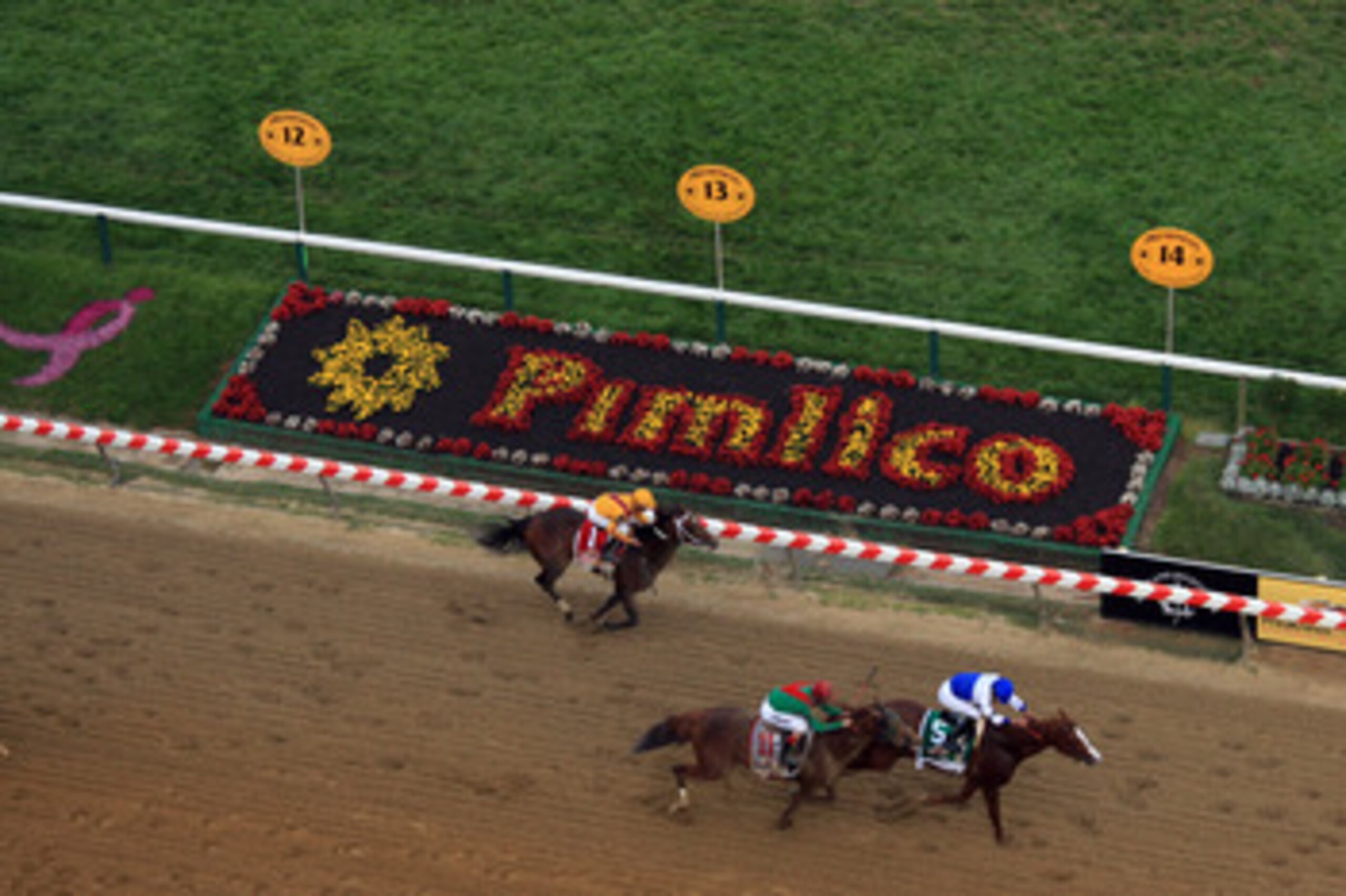 BALTIMORE, MD - MAY 21:  Jockey Jesus Castanon guides Shackleford #5 to victory over Animal Kingdom and jocky John Velazquez #11  and Astrology with jockey Mike Smith #1 to win the 136th running of the Preakness Stakes at Pimlico Race Course on May 21, 20