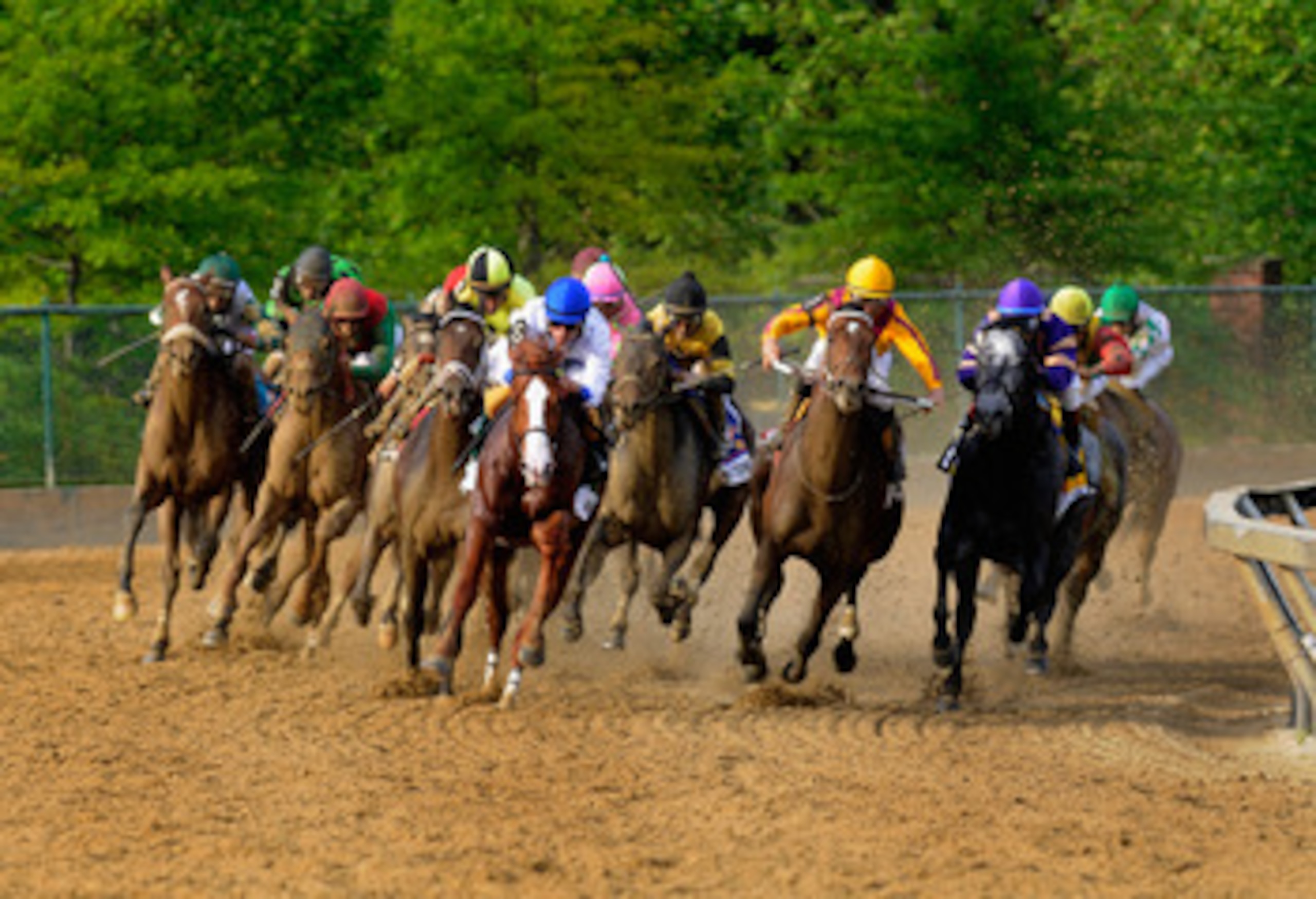BALTIMORE, MD - MAY 21:  Jockey Jesus Castanon guides Shackleford #5 (C) out of the fourth turn to win the 136th running of the Preakness Stakes at Pimlico Race Course on May 21, 2011 in Baltimore, Maryland.  (Photo by Rob Carr/Getty Images)