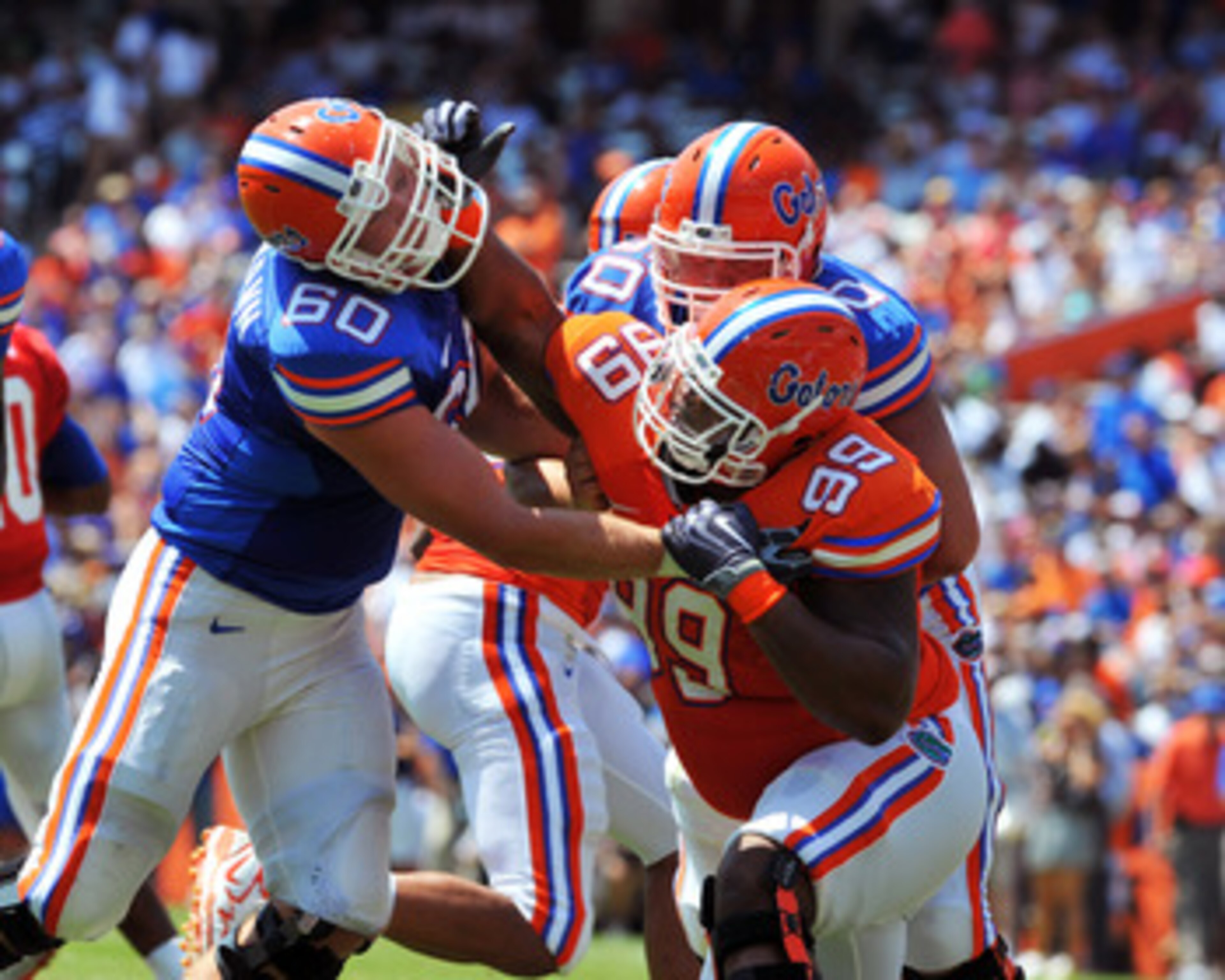 GAINESVILLE, FL - APRIL 9:  Tackle William Steinmann #60 of the Florida Gators blocks nose tackle Omar Hunter #99 during the Orange and Blue spring football game April 9, 2010 Ben Hill Griffin Stadium in Gainesville, Florida.  (Photo by Al Messerschmidt/G